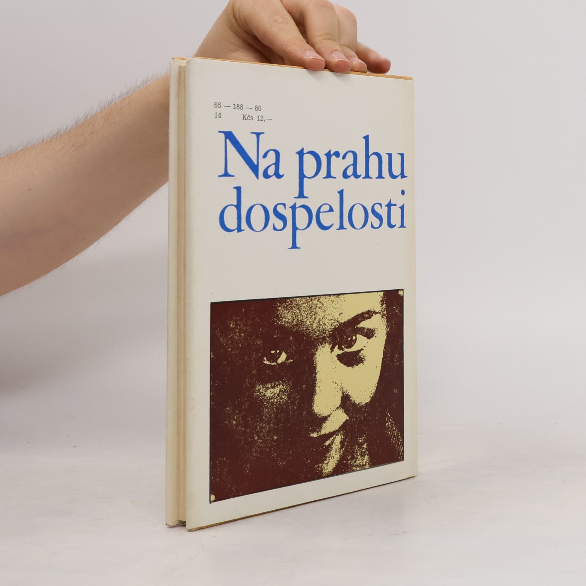 Strmeňová Jiřina Na prahu dospelosti