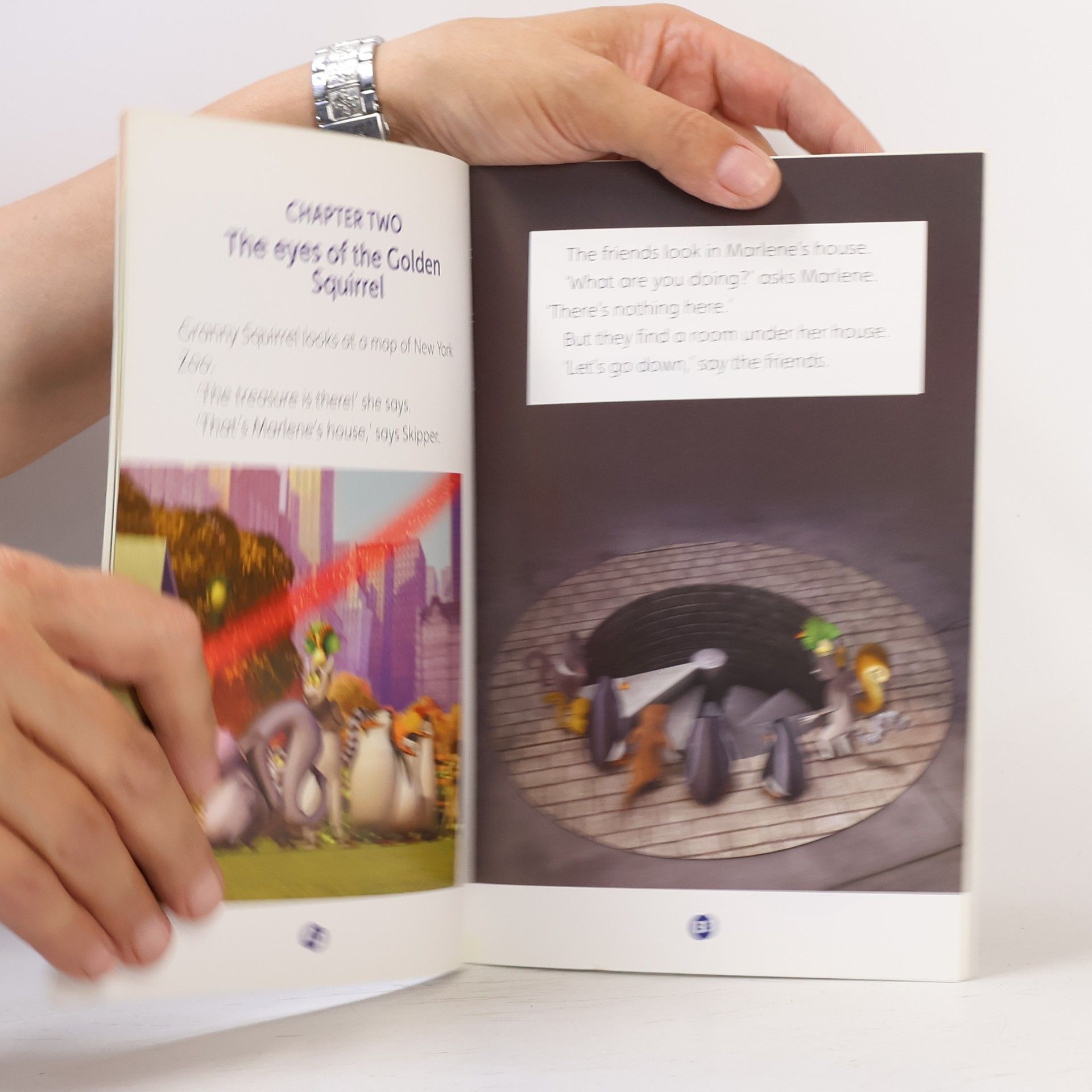 Nicole Taylor Level 1: The Penguins of Madagaskar: The Lost Treasure of the Golden Squirrel (Popcorn ELT Primary Reader)s