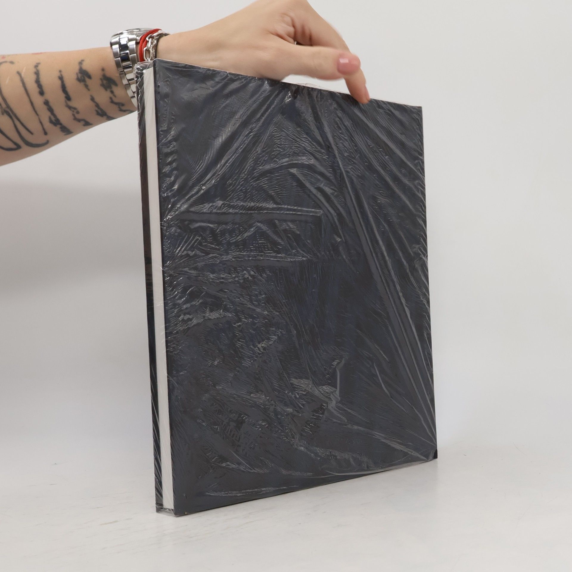 Jindřich Toman Kniha v českém kubismu. Czech Cubism and the Book