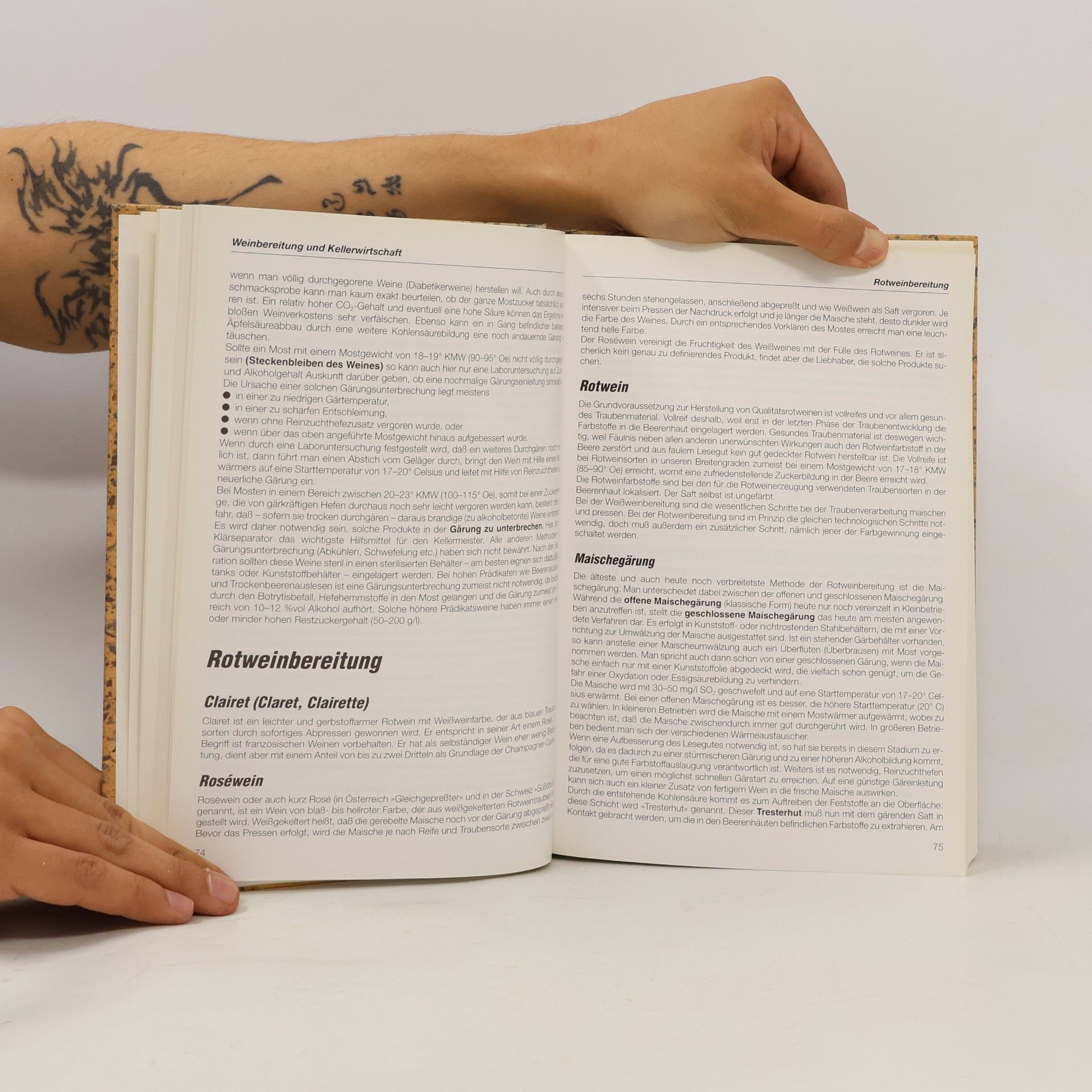 Rudolf Steurer Weinhandbuch