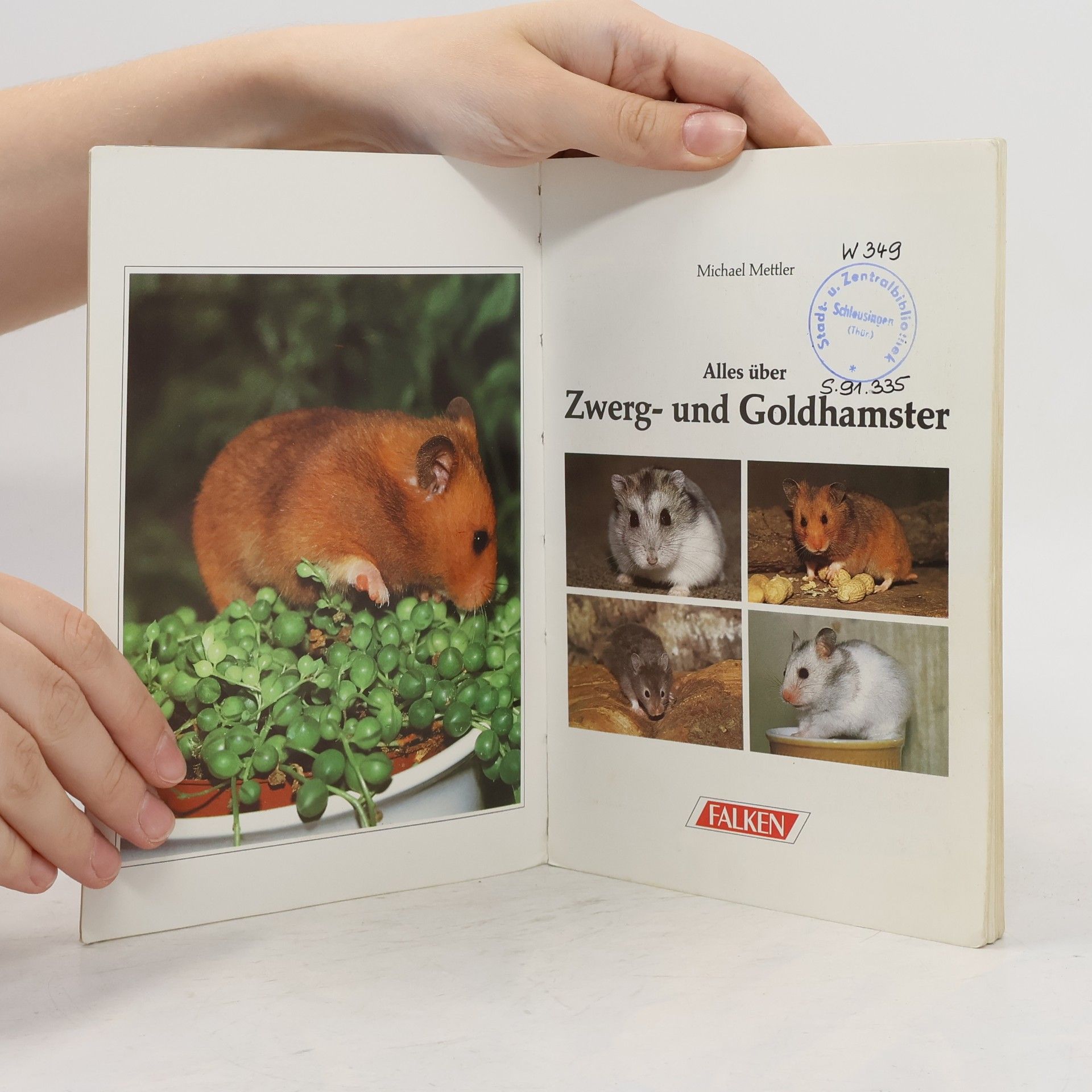 Michael Mettler Alles über Zwerg- und Goldhamster