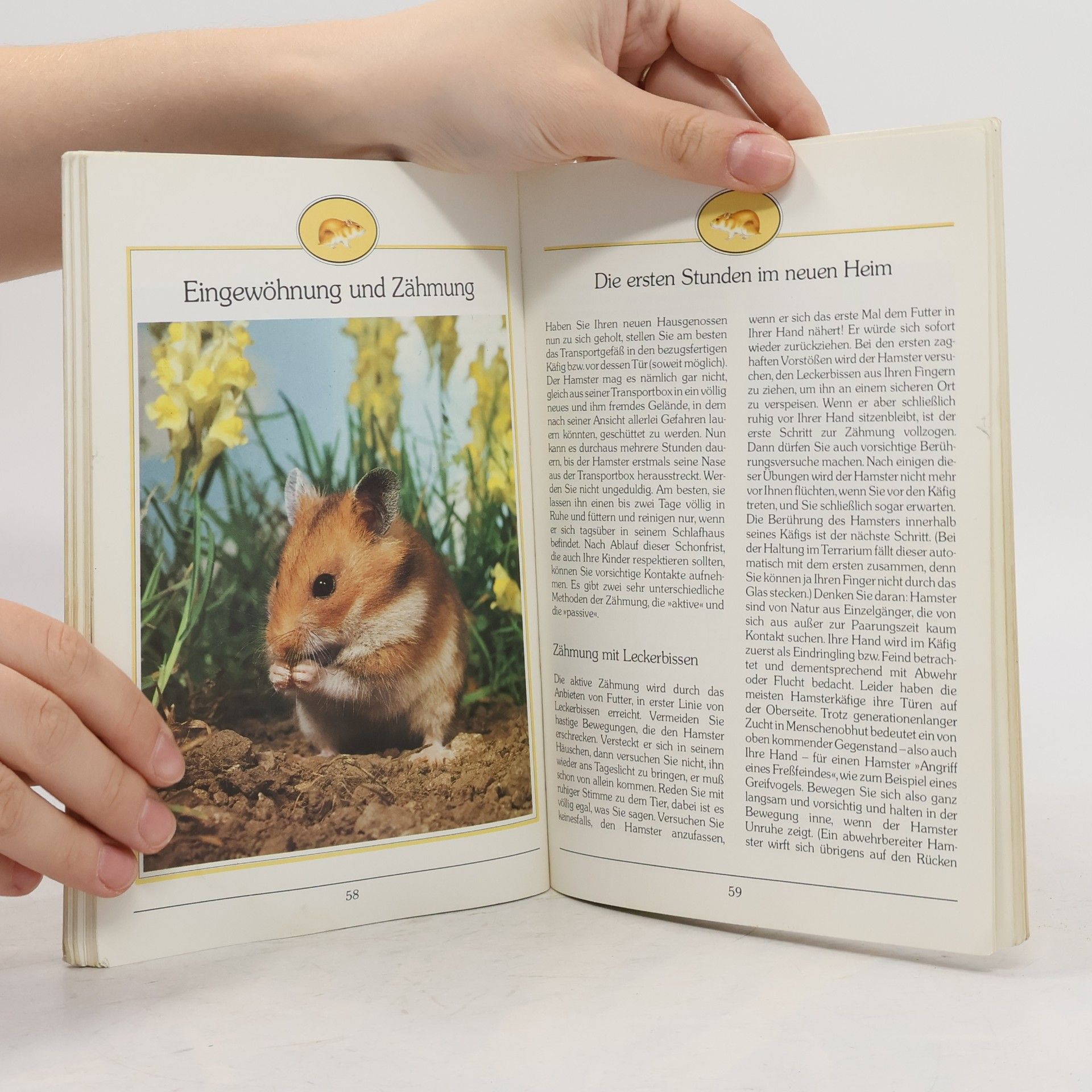 Michael Mettler Alles über Zwerg- und Goldhamster