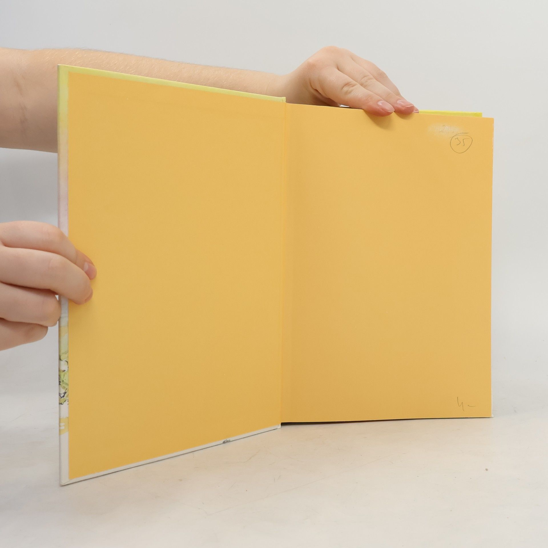 Elmar R. Gruber Die Bibel in 365 Geschichten erzählt