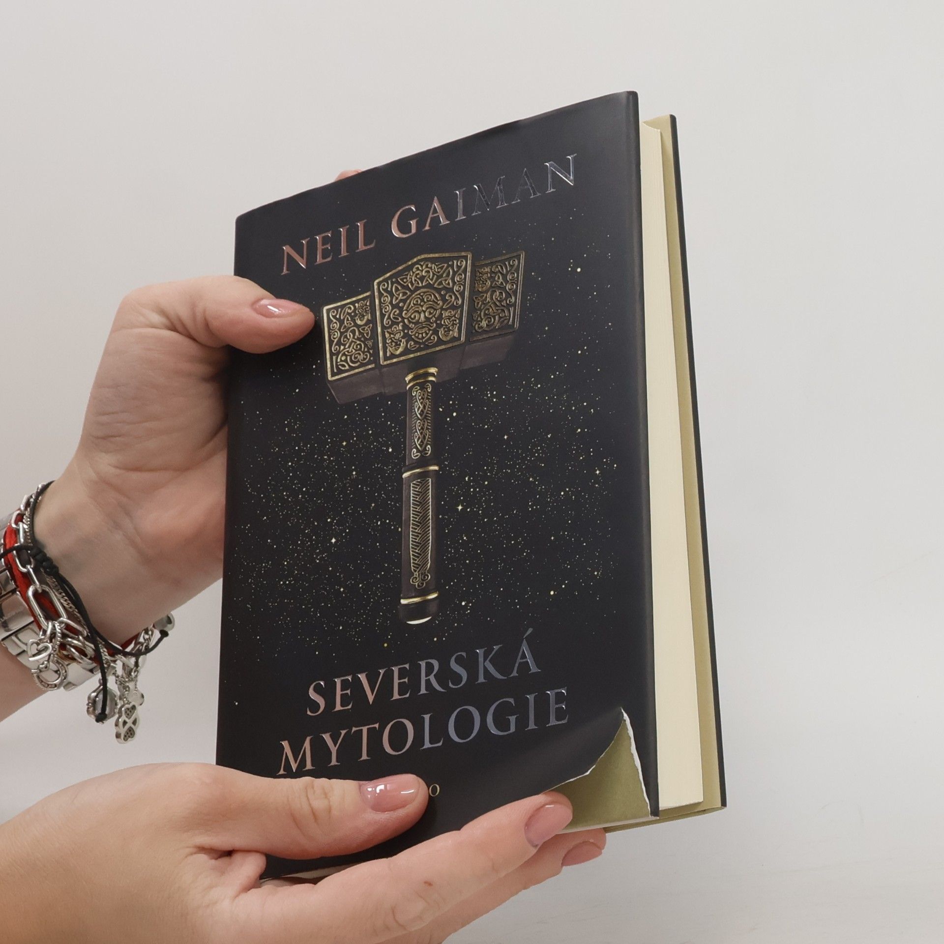Neil Gaiman Severská mytologie