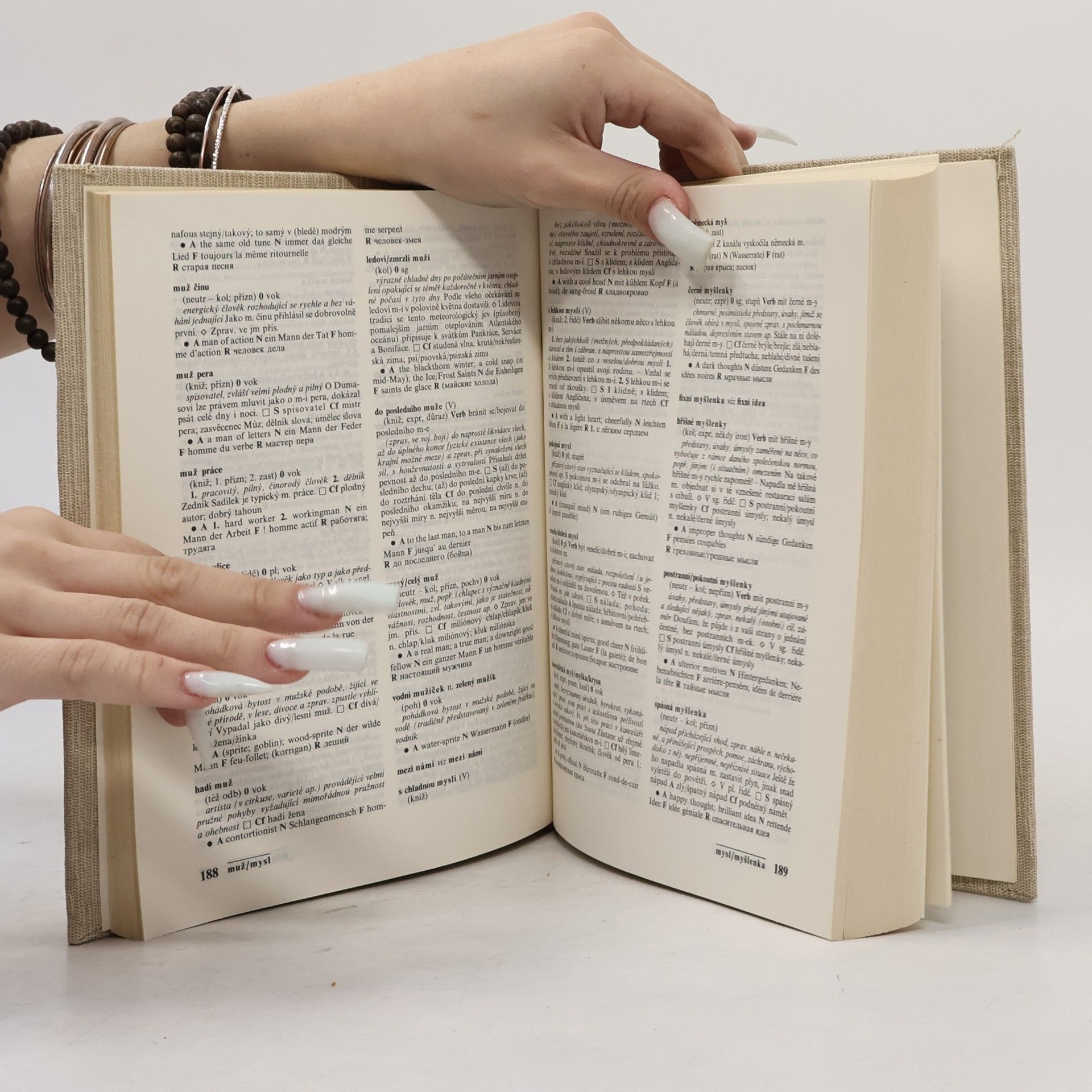 František Čermák Slovník české frazeologie a idiomatiky. Výrazy neslovesné