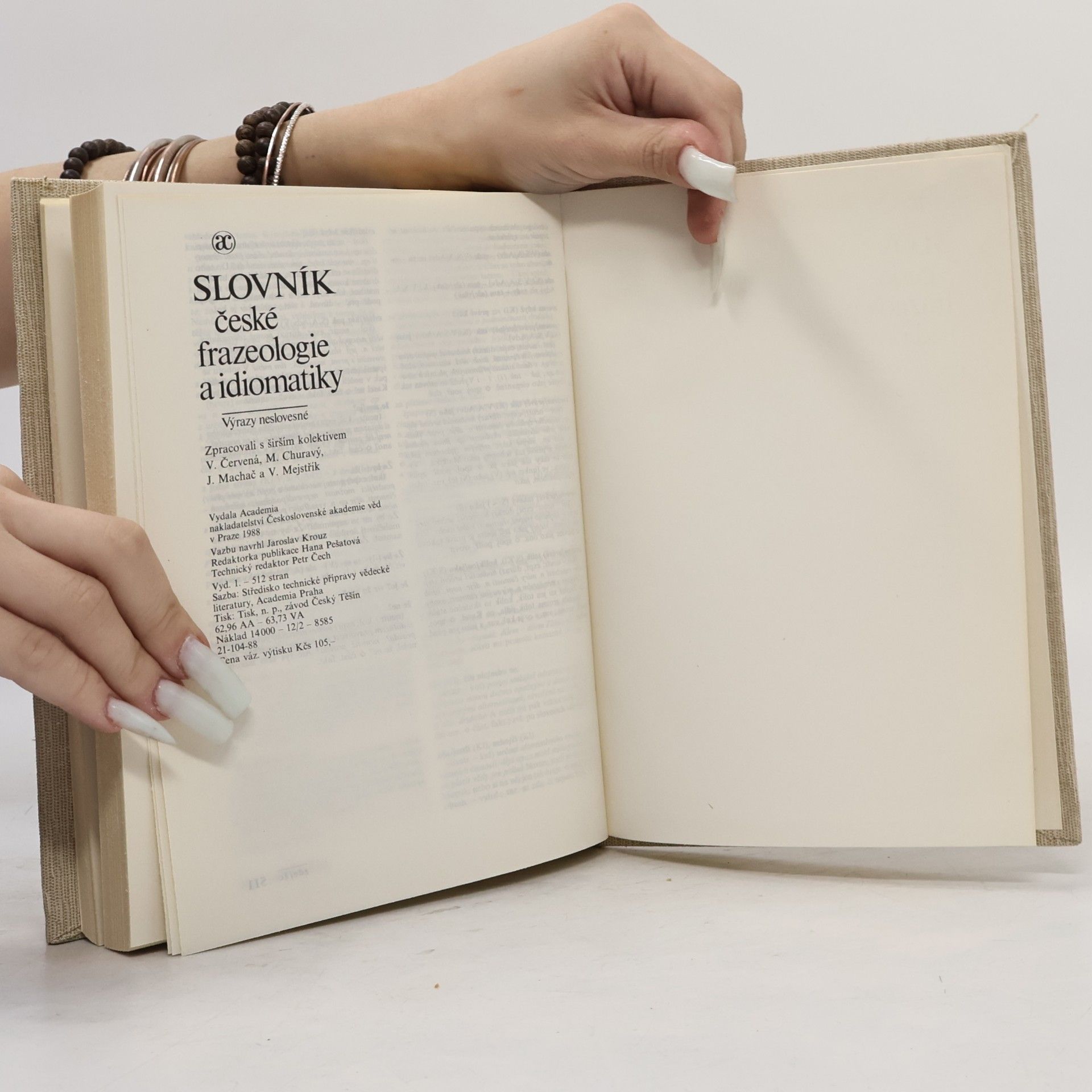 František Čermák Slovník české frazeologie a idiomatiky. Výrazy neslovesné