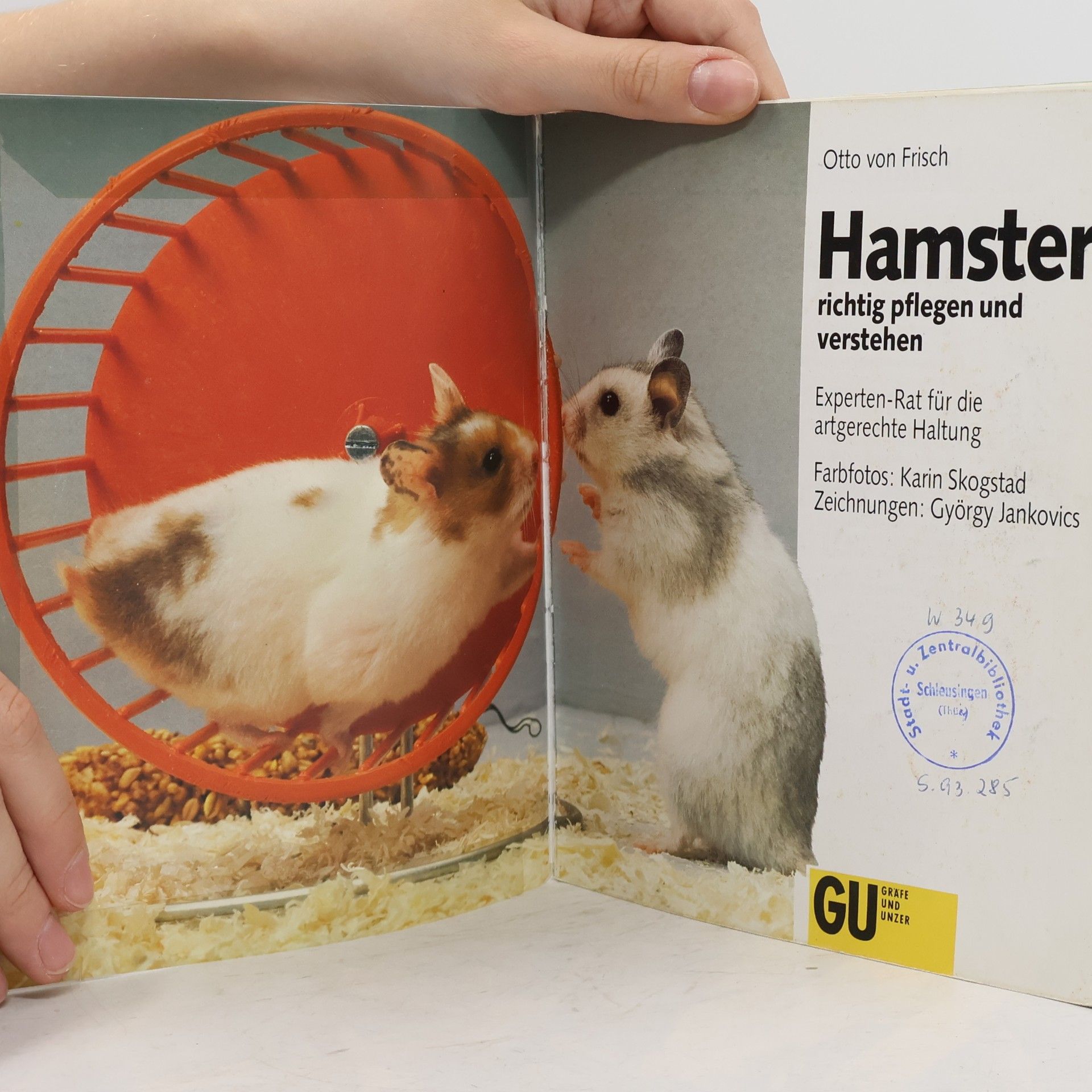 Otto von Frisch Hamster richtig pflegen und verstehen