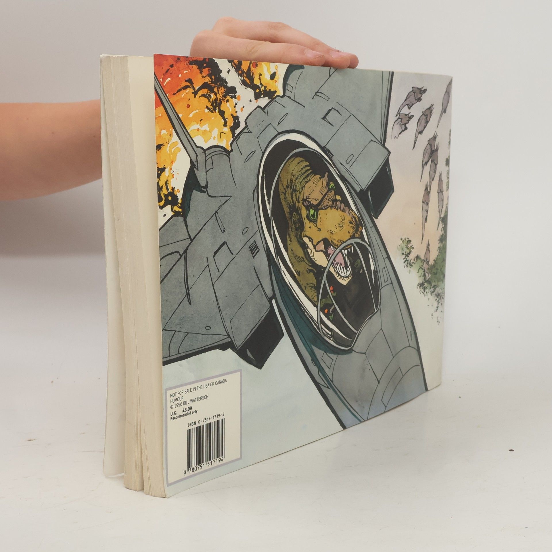 Bill Watterson There´s Treasure Everywhere