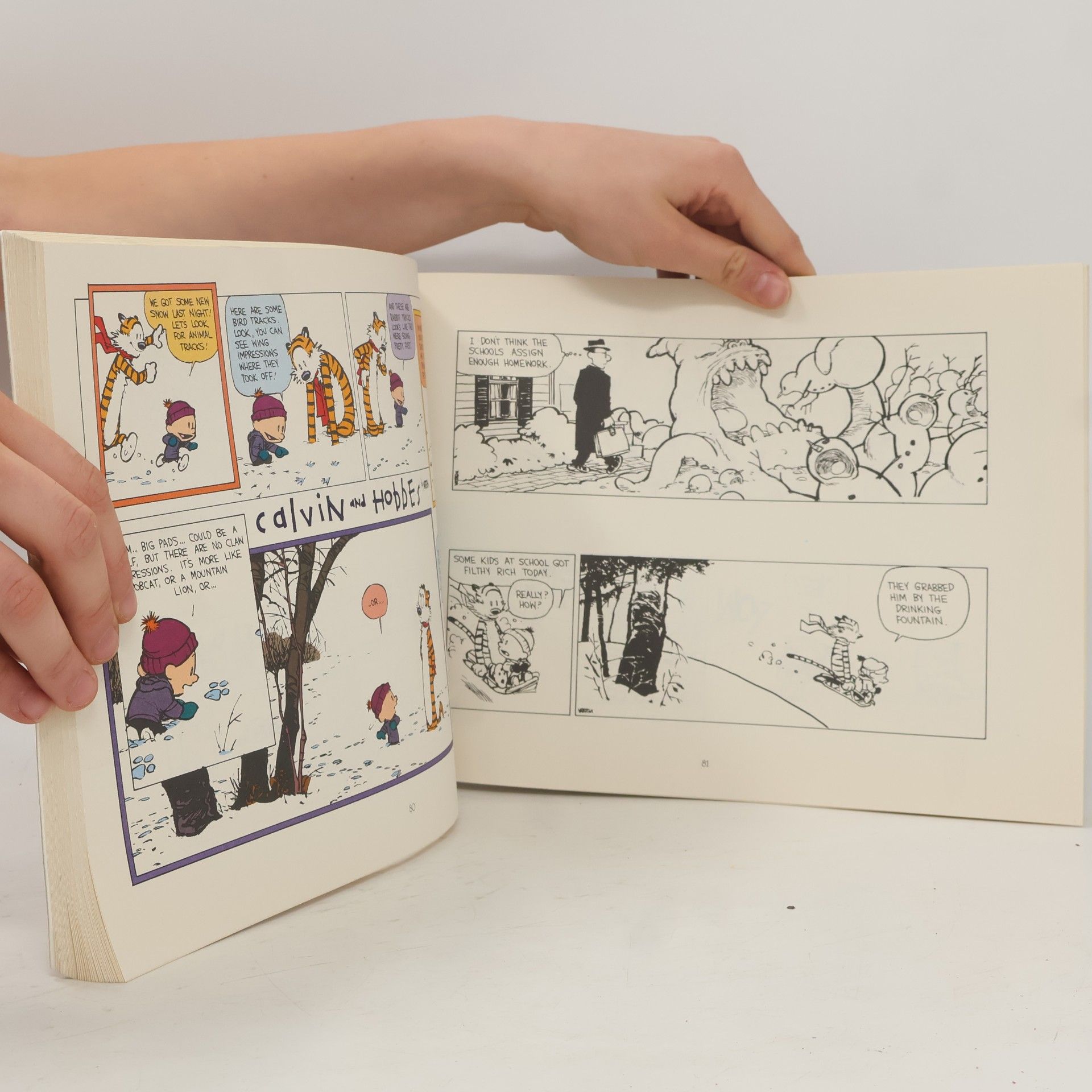 Bill Watterson There´s Treasure Everywhere