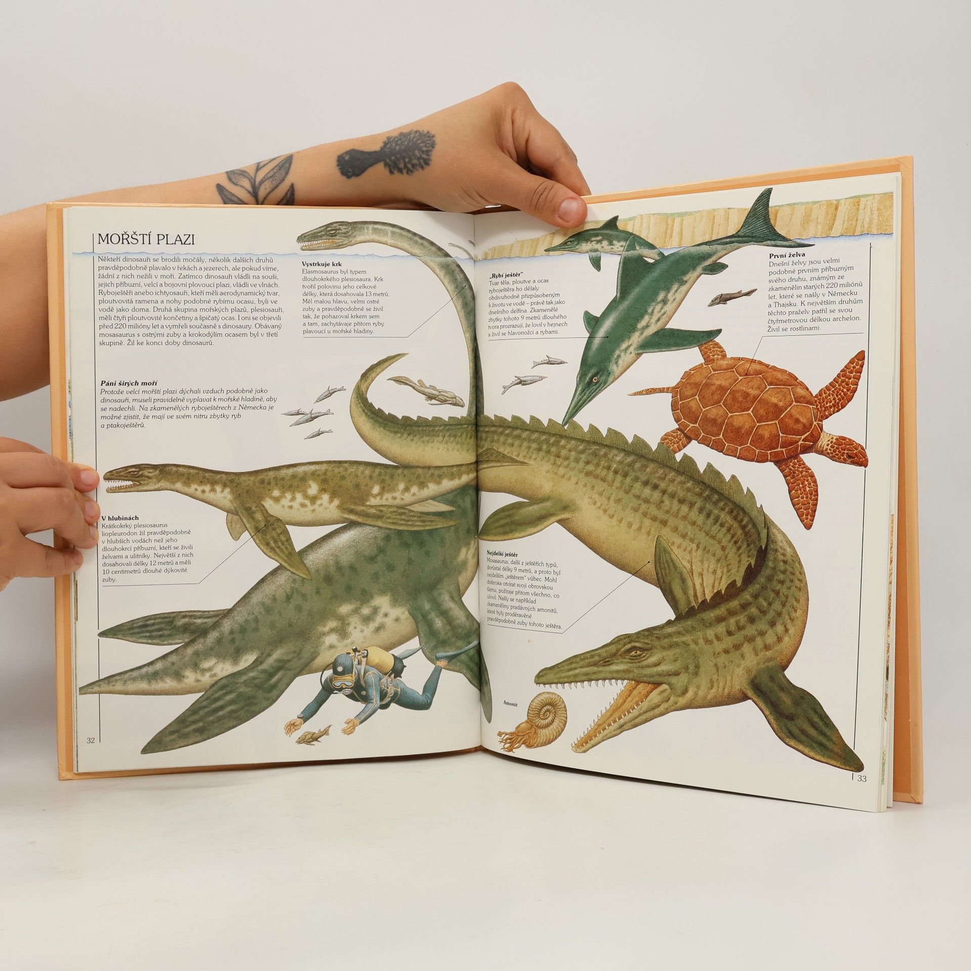 Autorenkollektiv Jak žili dinosauři