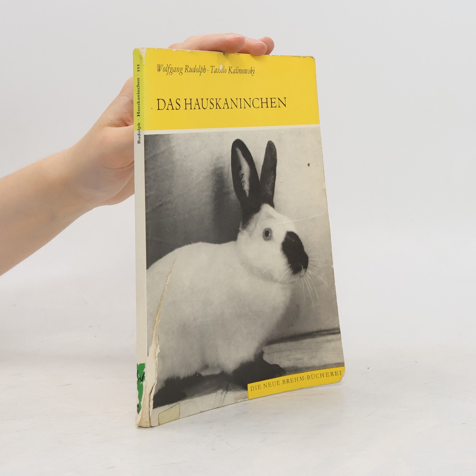 Das Hauskaninchen