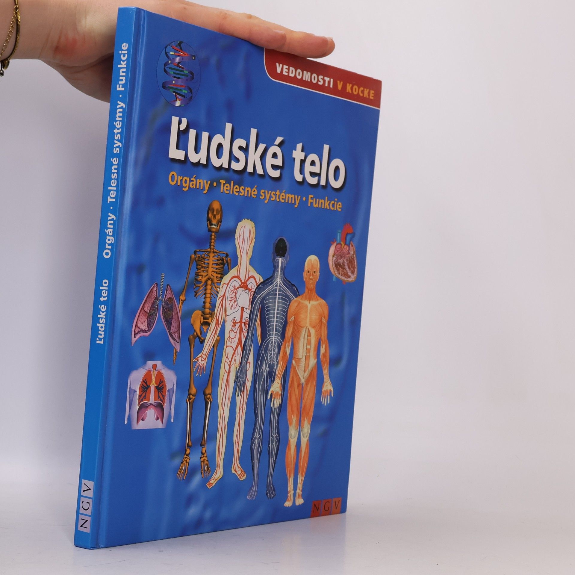 Autorenkollektiv Ľudské telo. Orgány, telesné systémy, funkcie