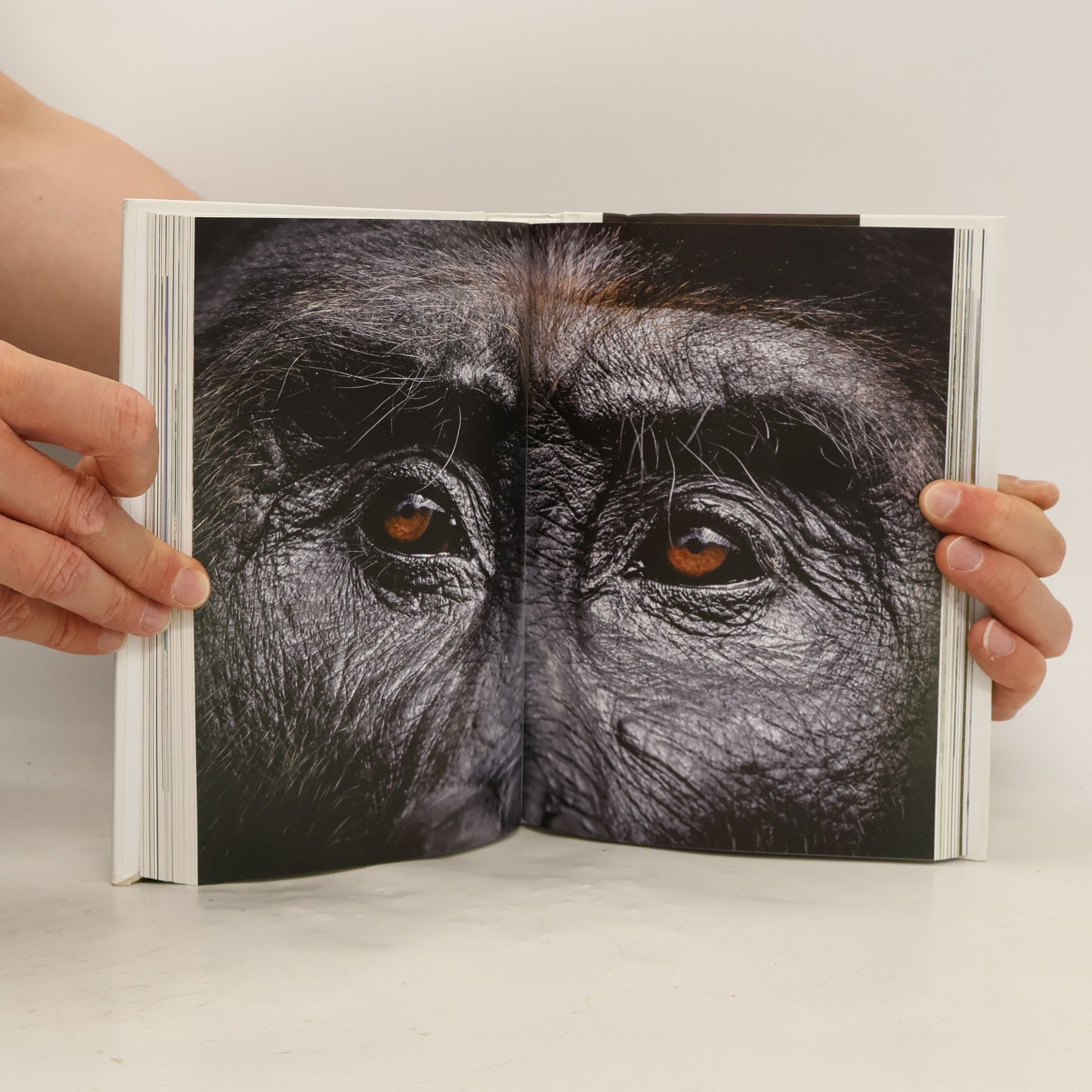 Miroslav Bobek Ryšavý knihovník a další zápisky ředitele zoo
