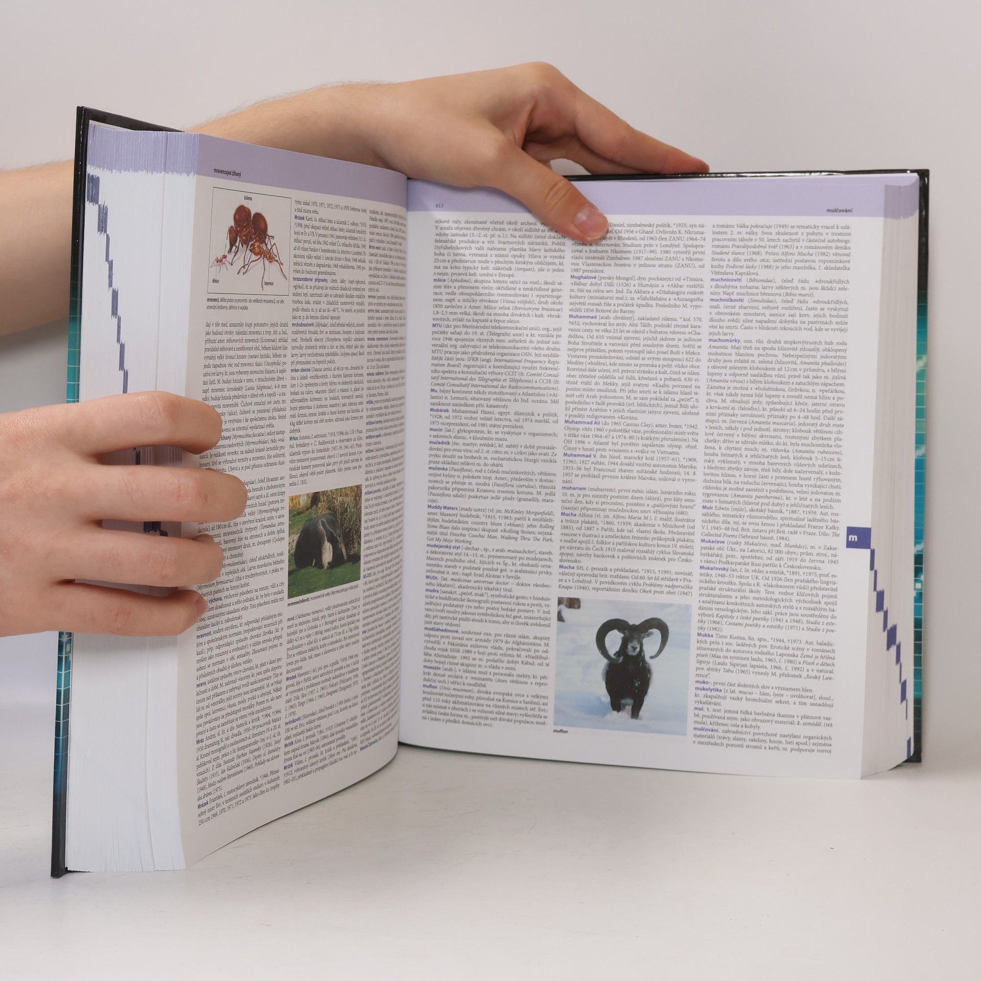 Autores varios Velká všeobecná encyklopedie