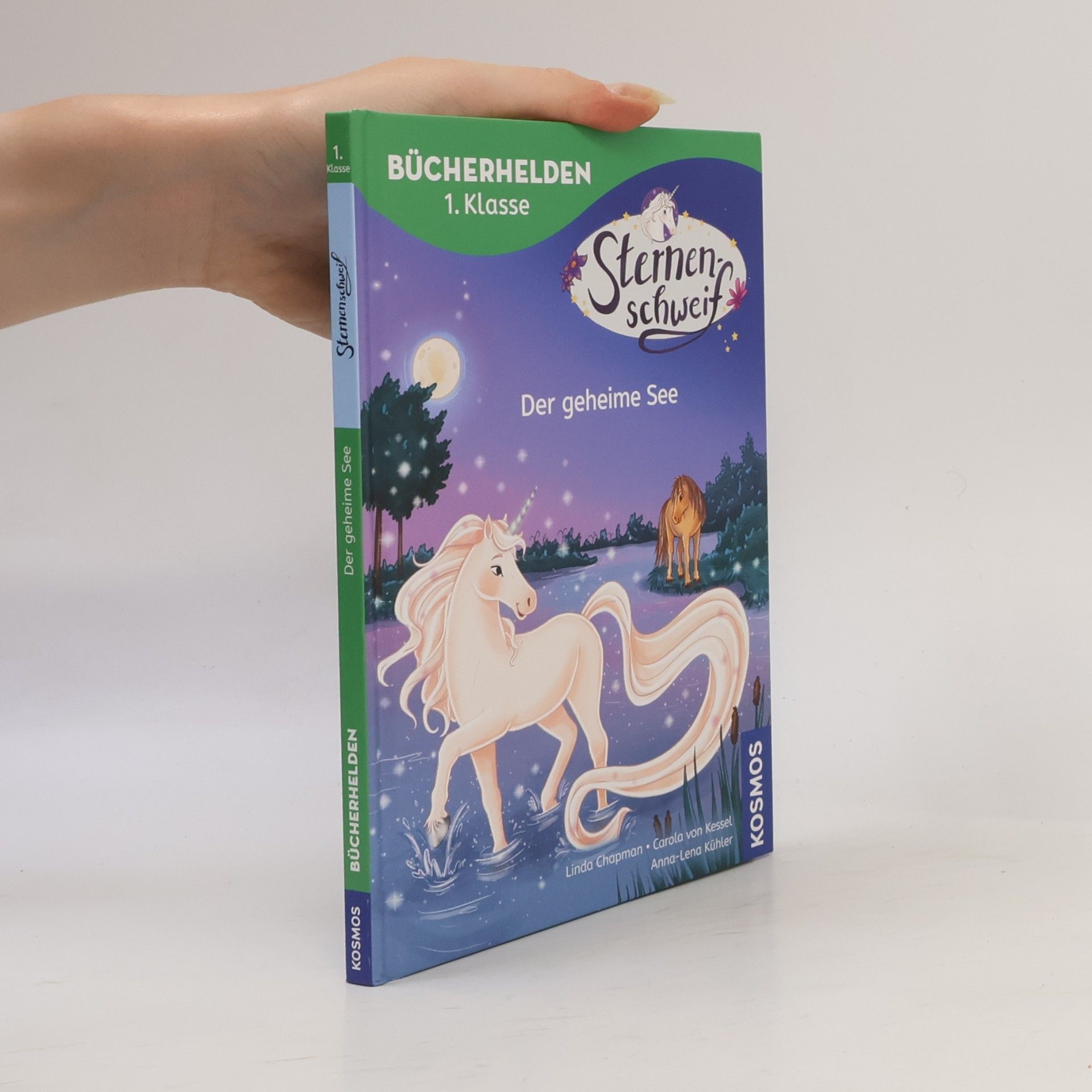 Linda Chapman Sternenschweif, Bücherhelden 1. Klasse, Der geheime See