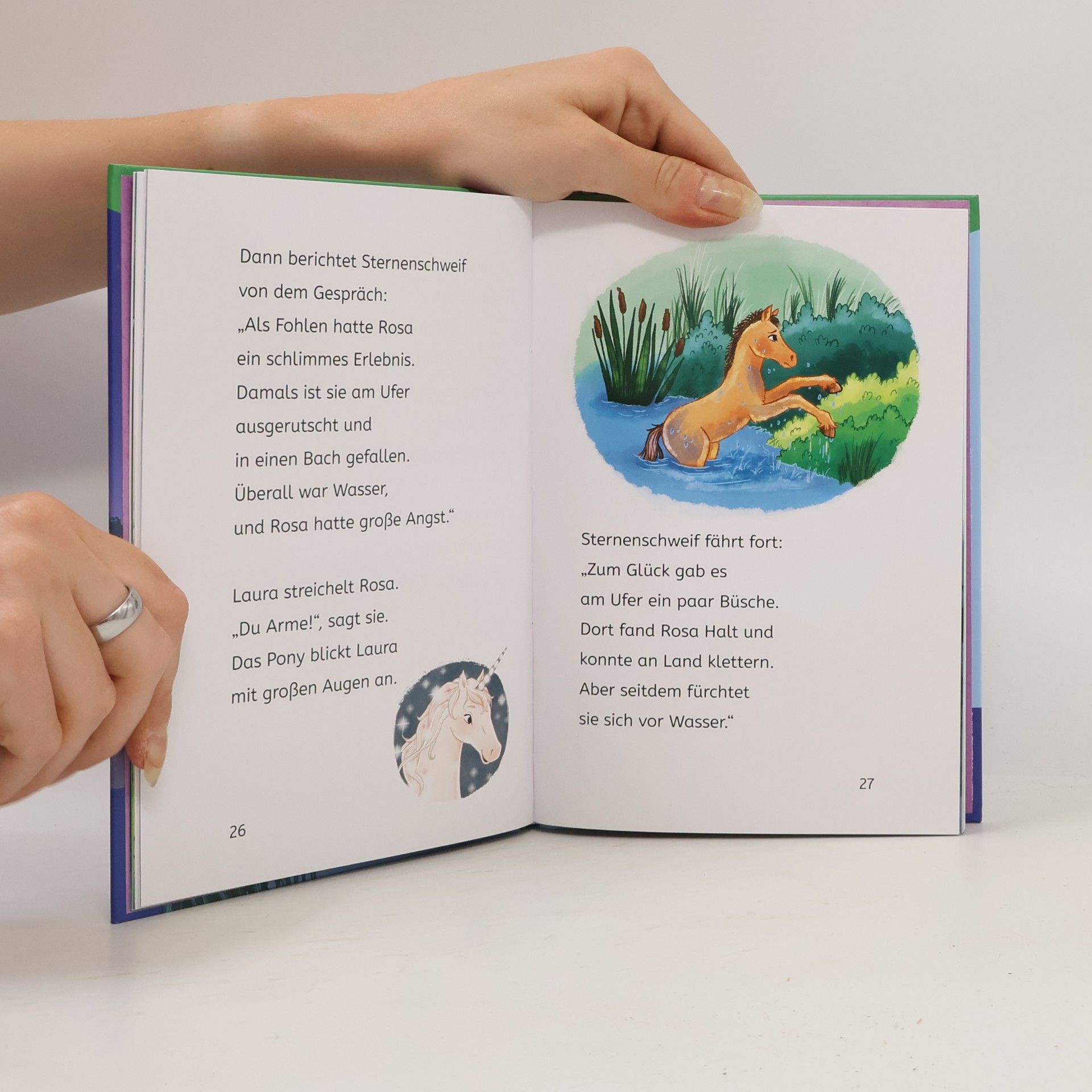 Linda Chapman Sternenschweif, Bücherhelden 1. Klasse, Der geheime See