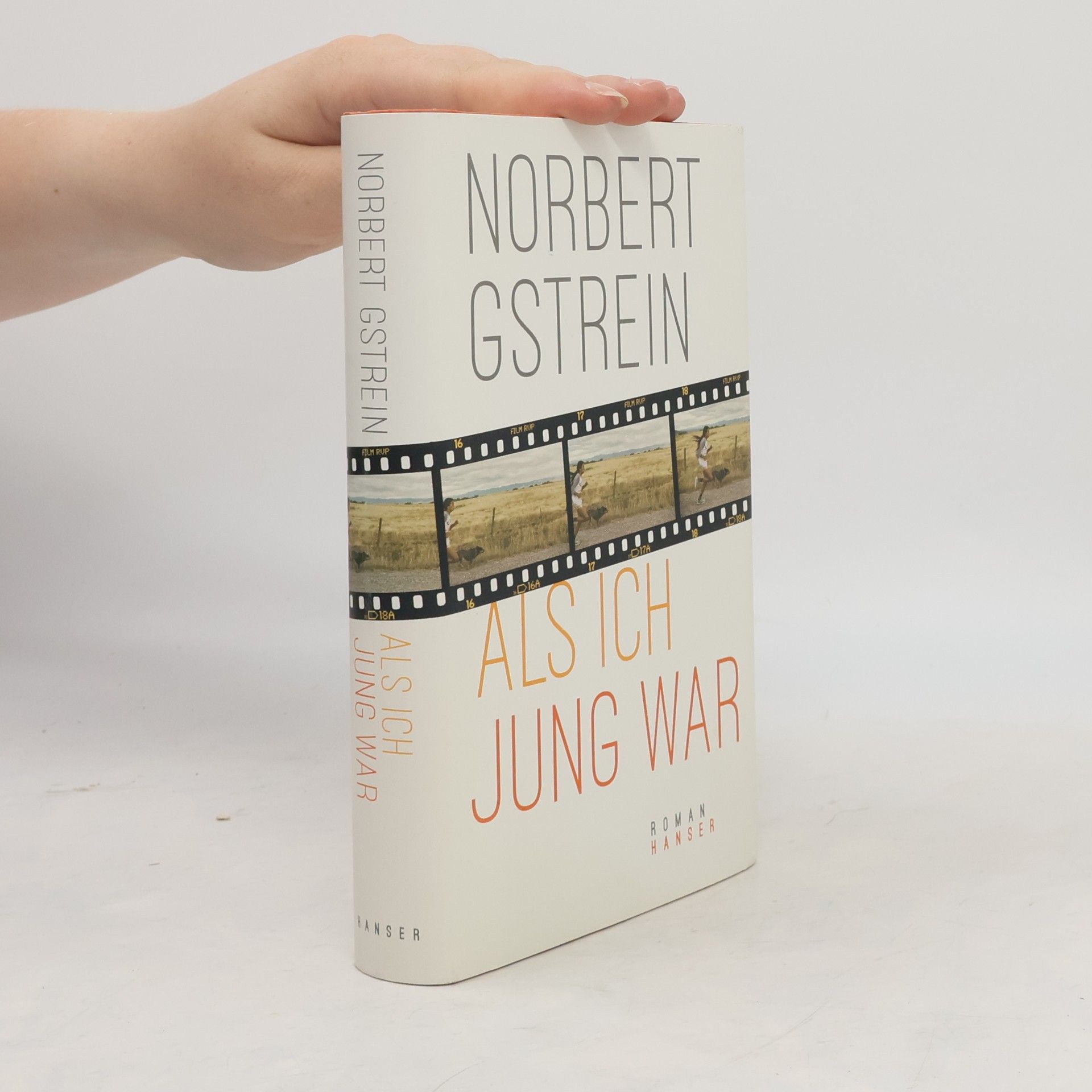 Norbert Gstrein Als ich jung war