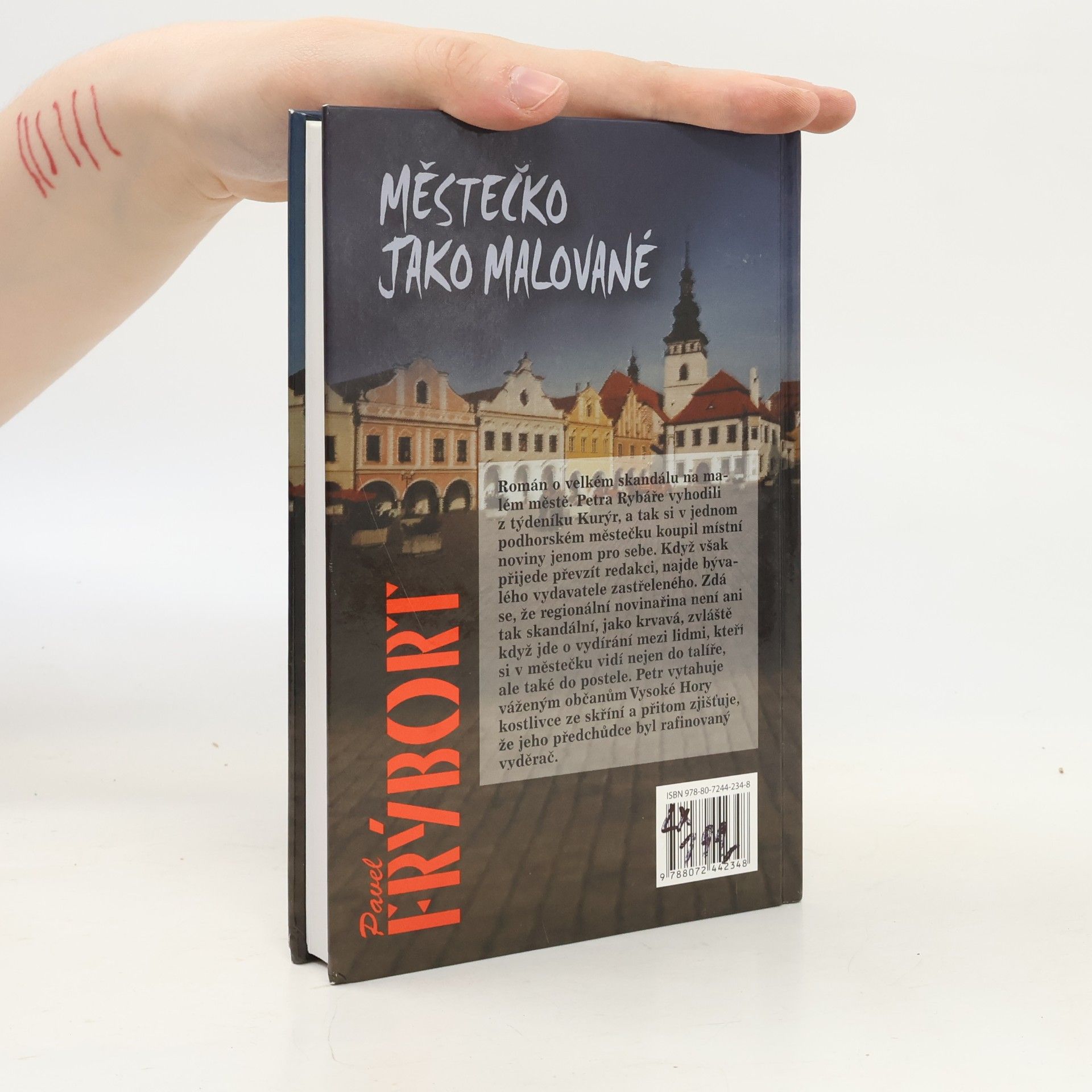 Pavel Frýbort Městečko jako malované