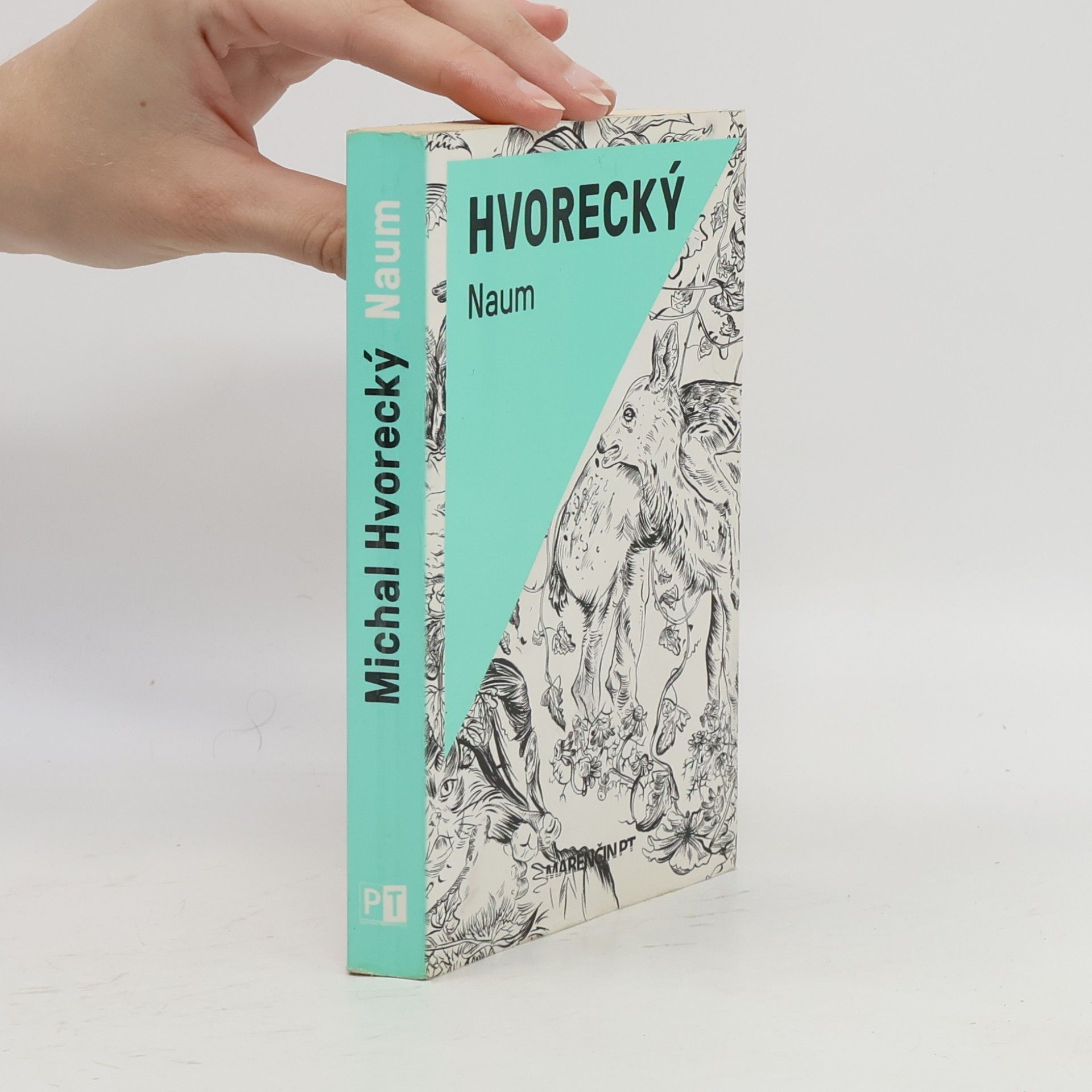 Michal Hvorecký Naum