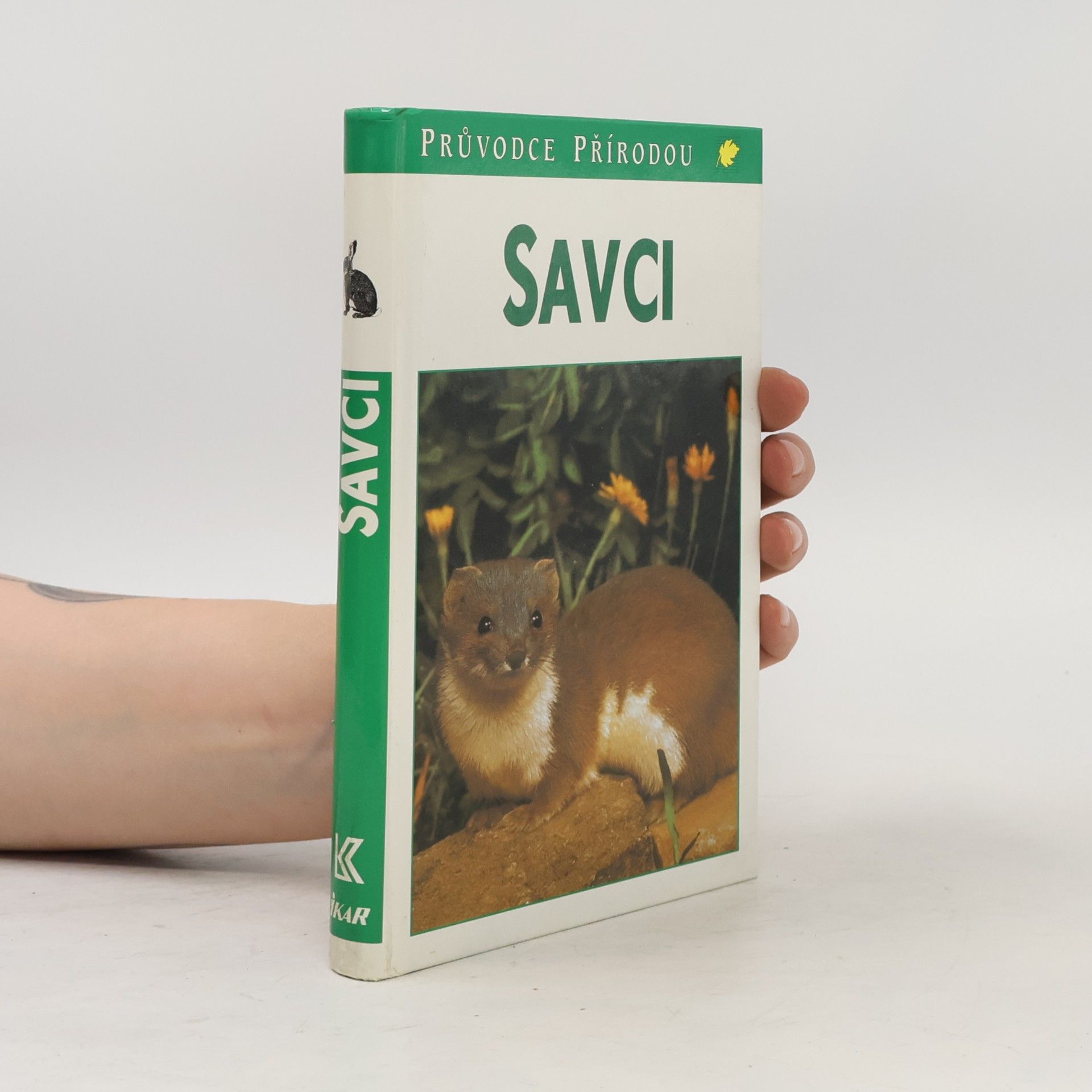 Savci