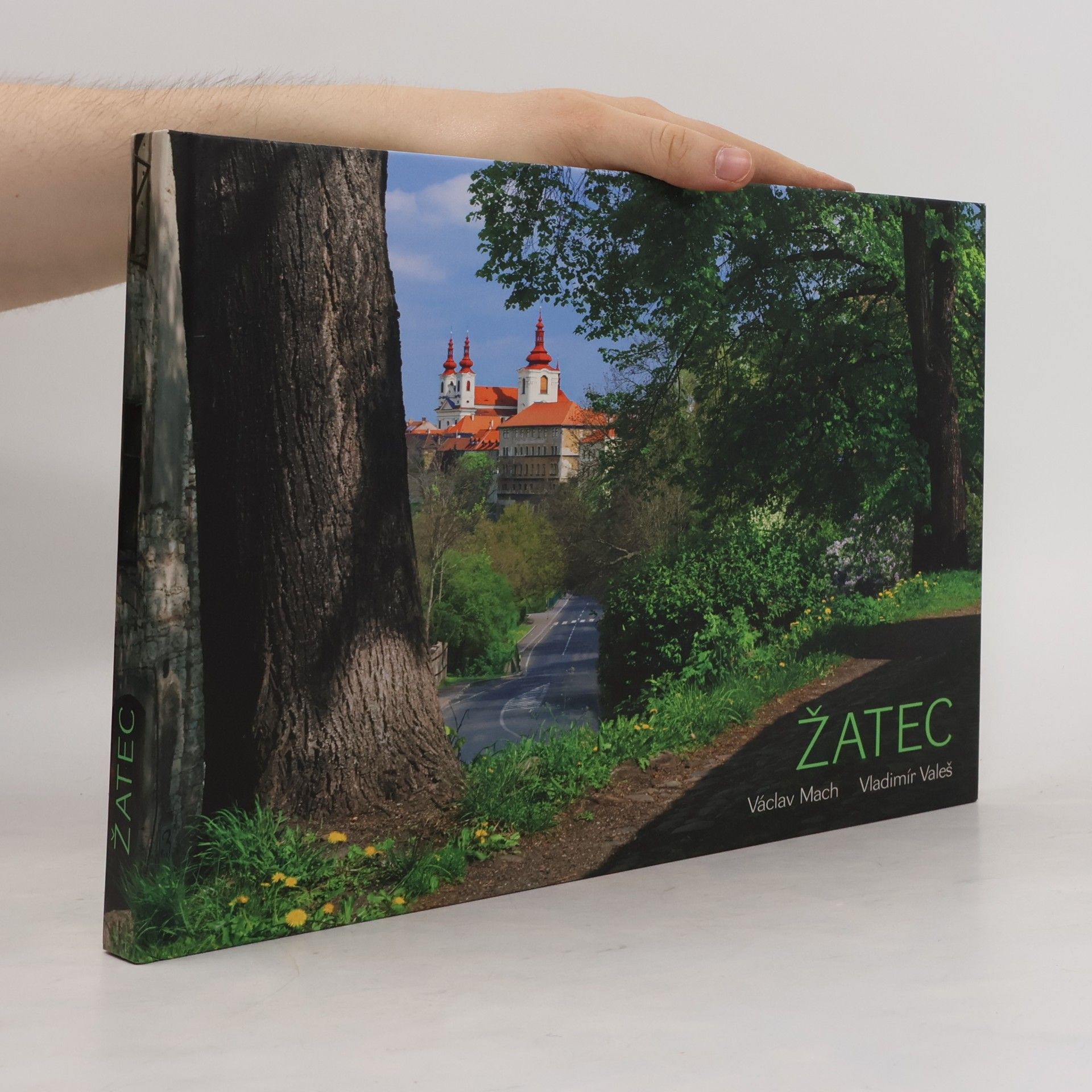 Žatec