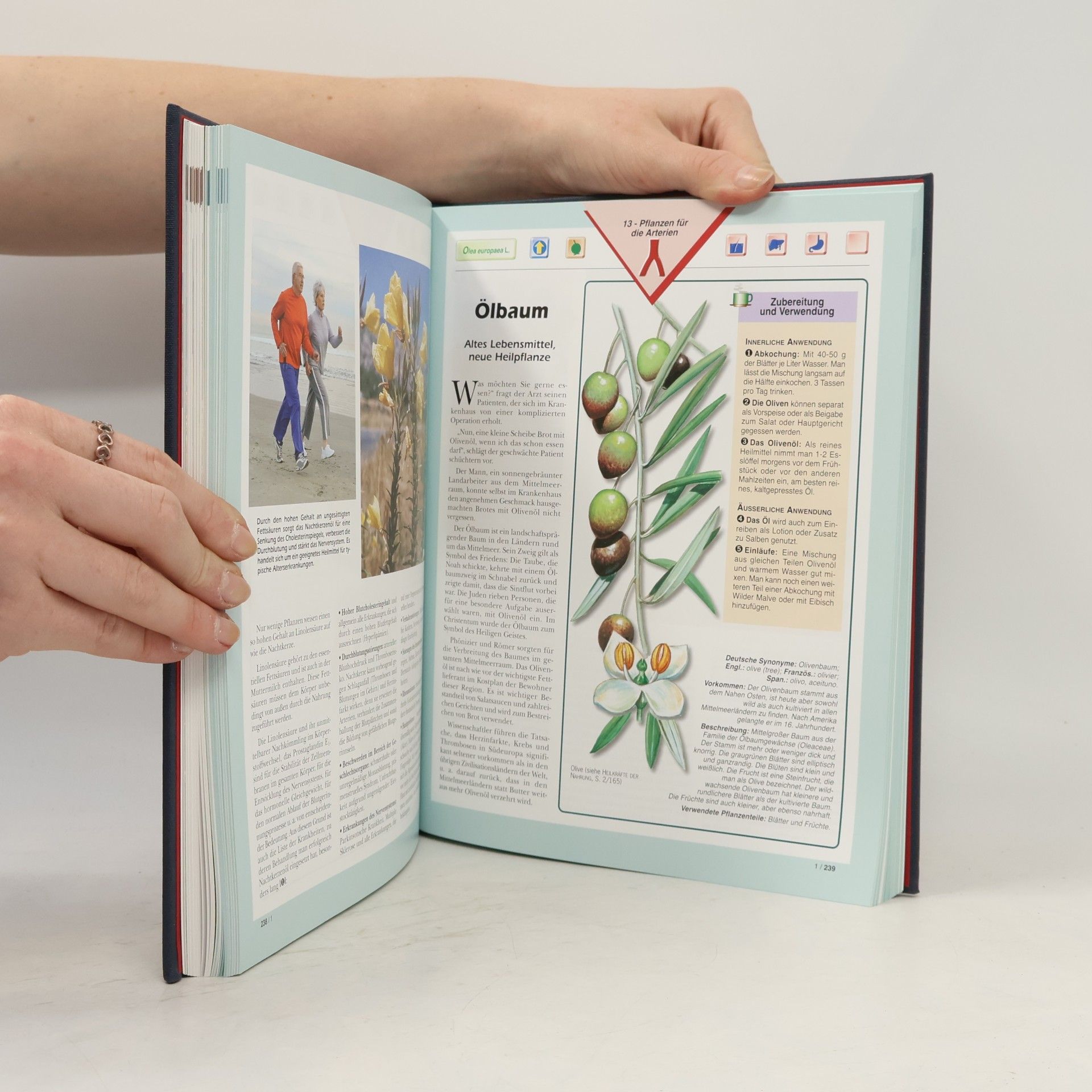 Jorge D. Pamplona Roger Die grosse Saatkorn Gesundheits-Bibliothek