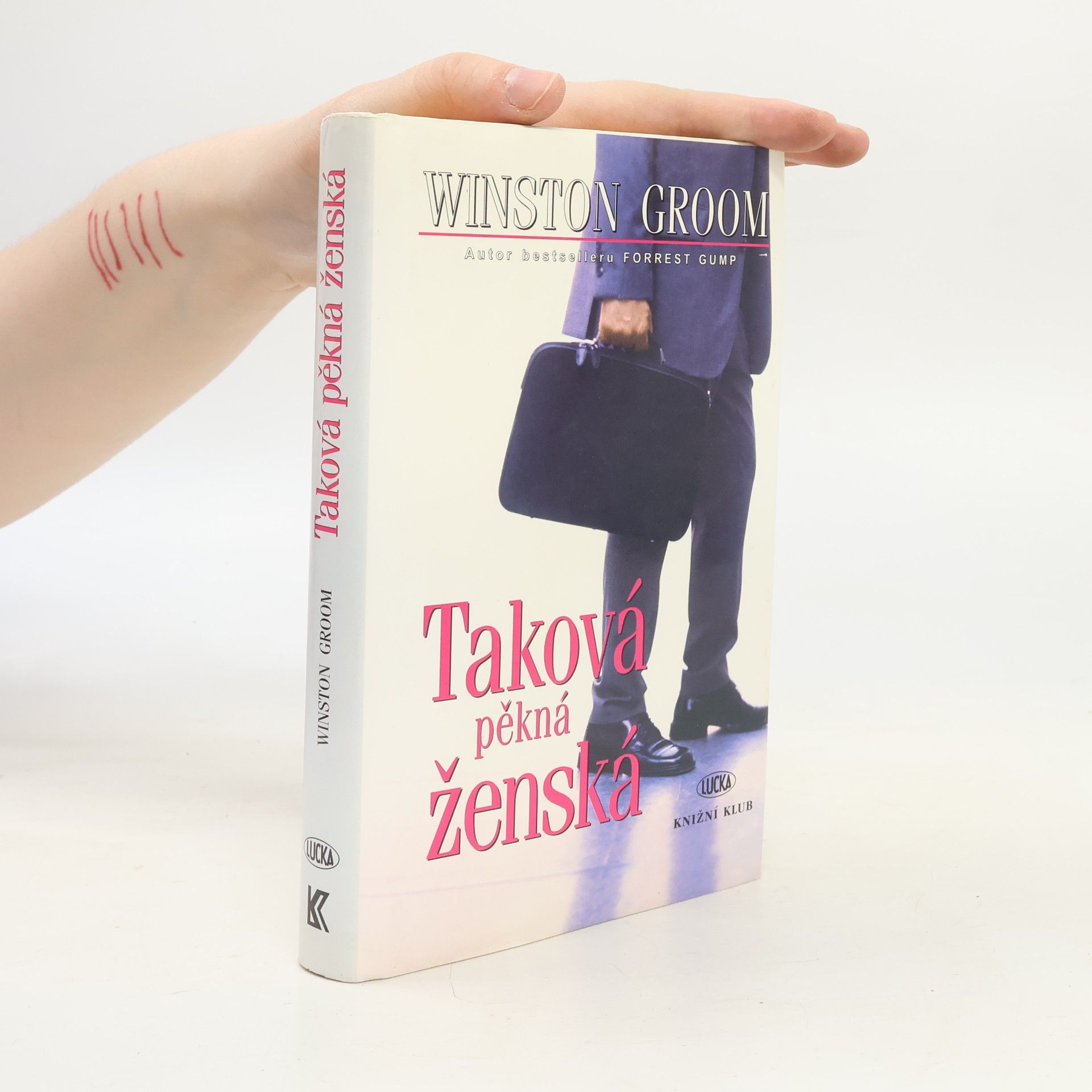Winston Groom Taková pěkná ženská