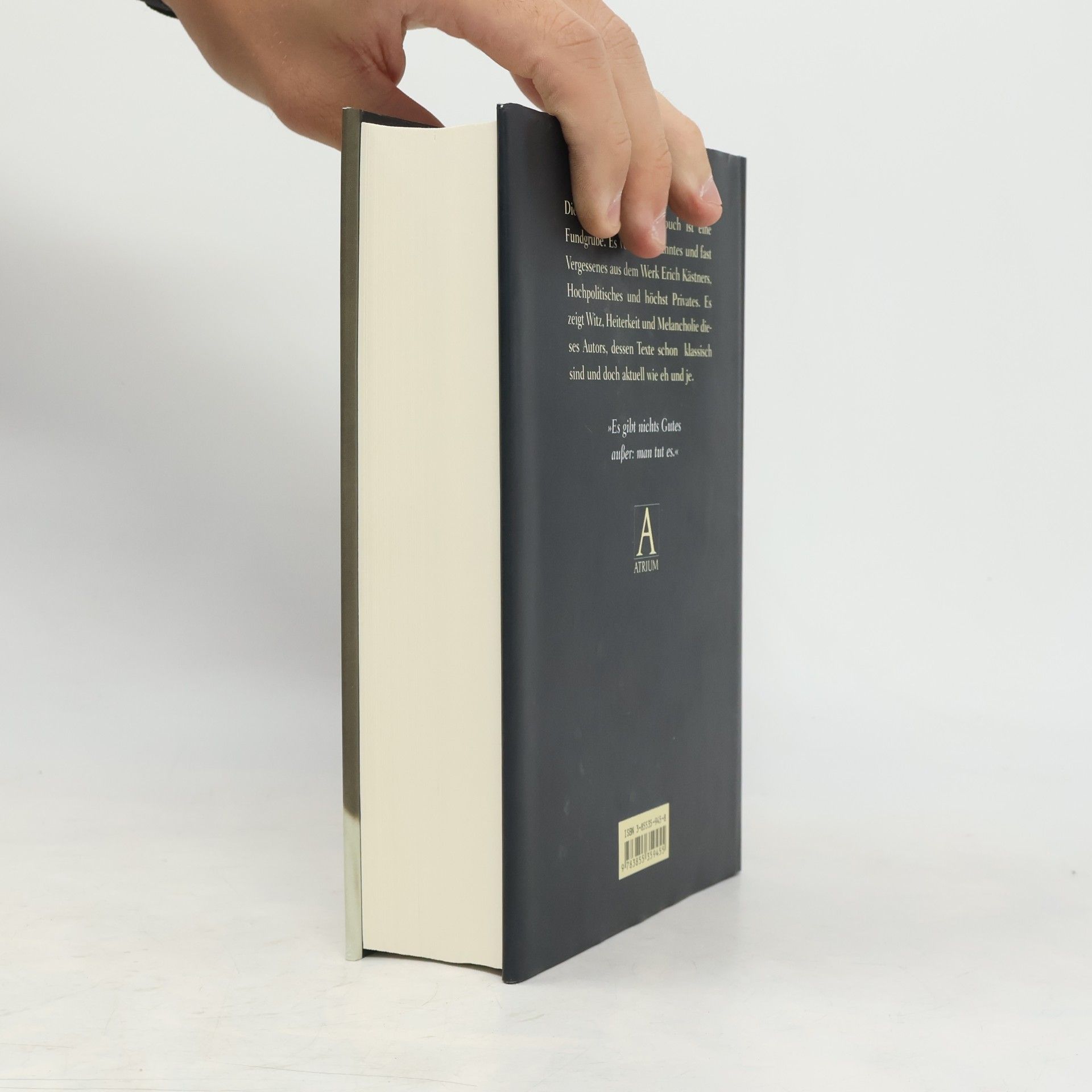 Erich Kästner Das große Erich-Kästner-Buch