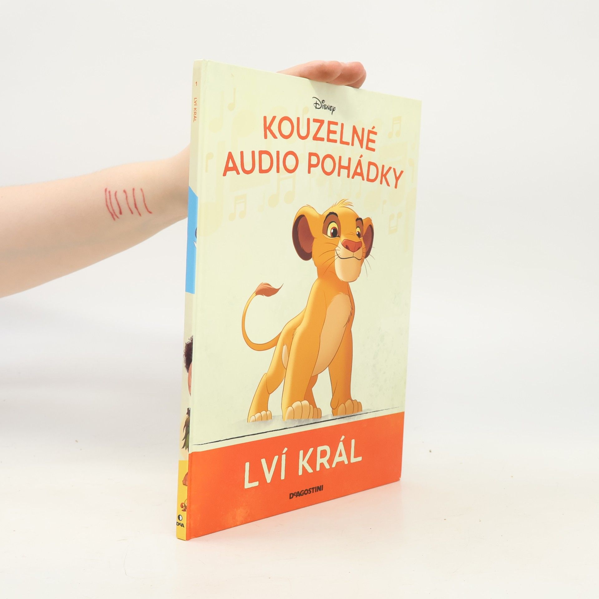 Kolektiv autorů Lví král