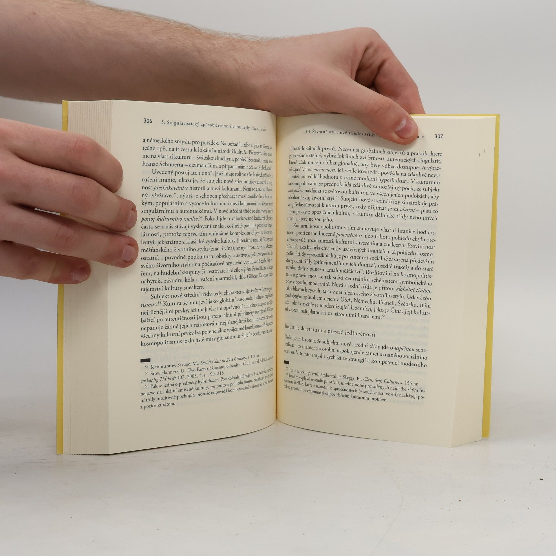 Andreas Reckwitz Společnost singularit 76