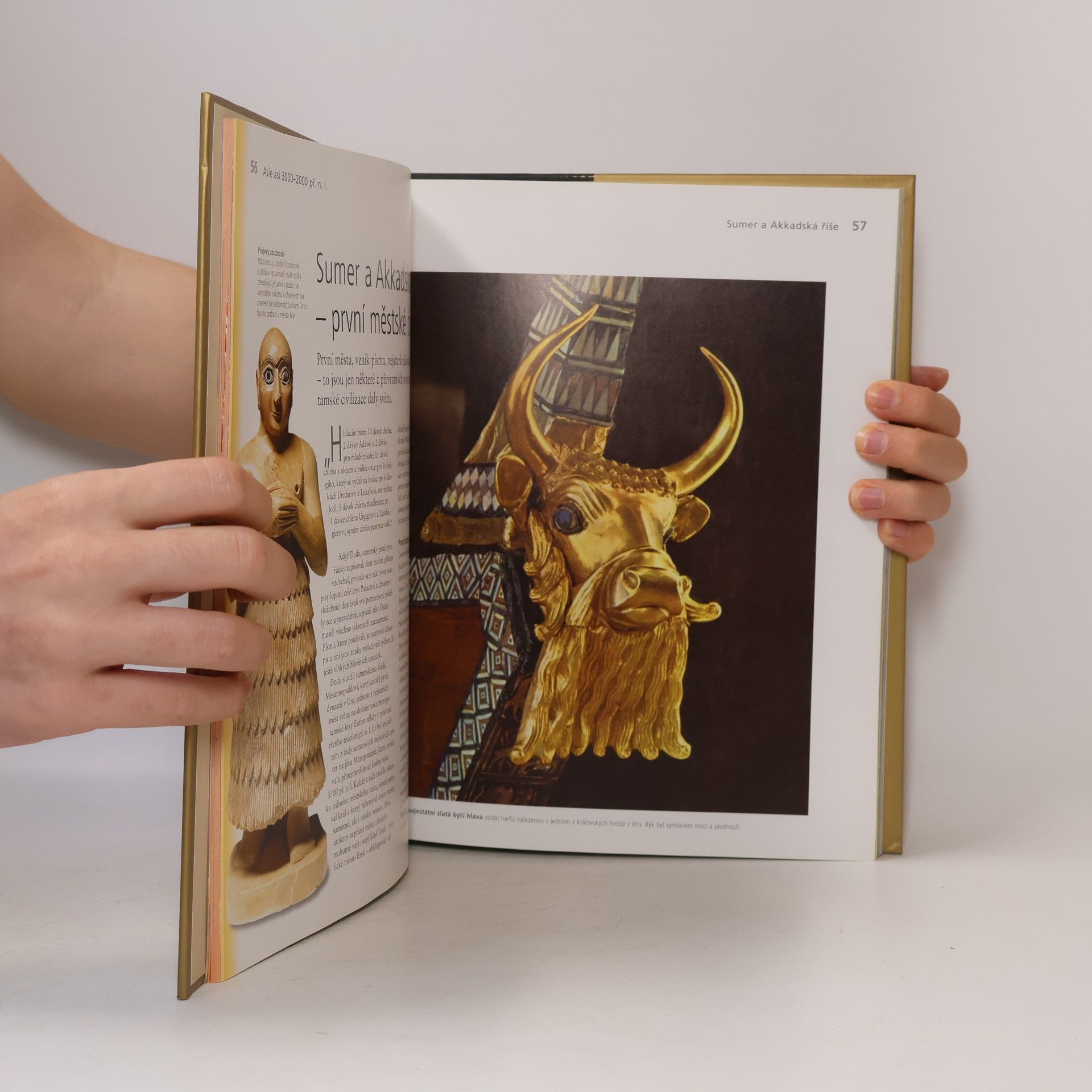 Autorenkollektiv Na úsvitu civilizace: Od prehistorie do 900 př. n. l.