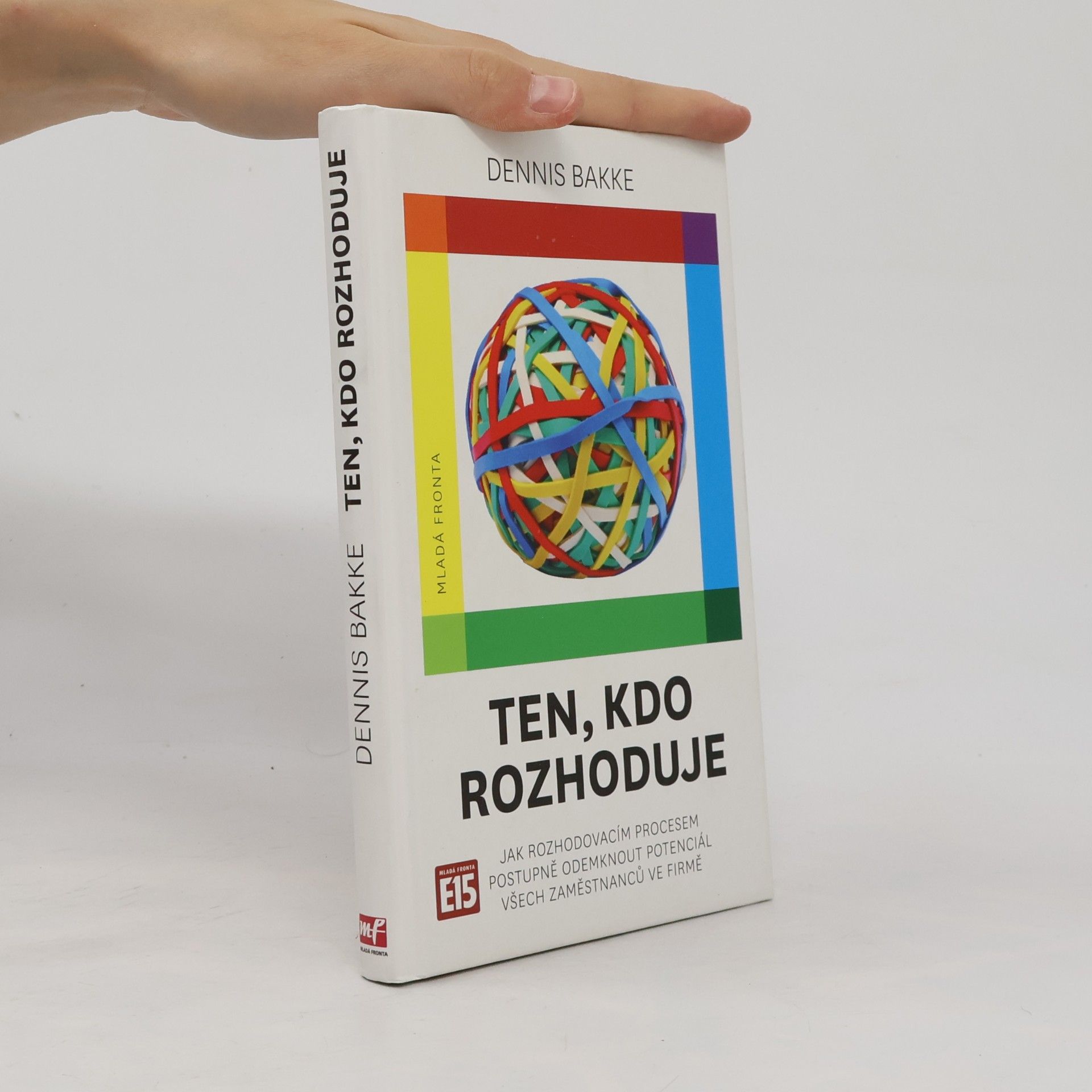 Dennis Bakke Ten, kdo rozhoduje