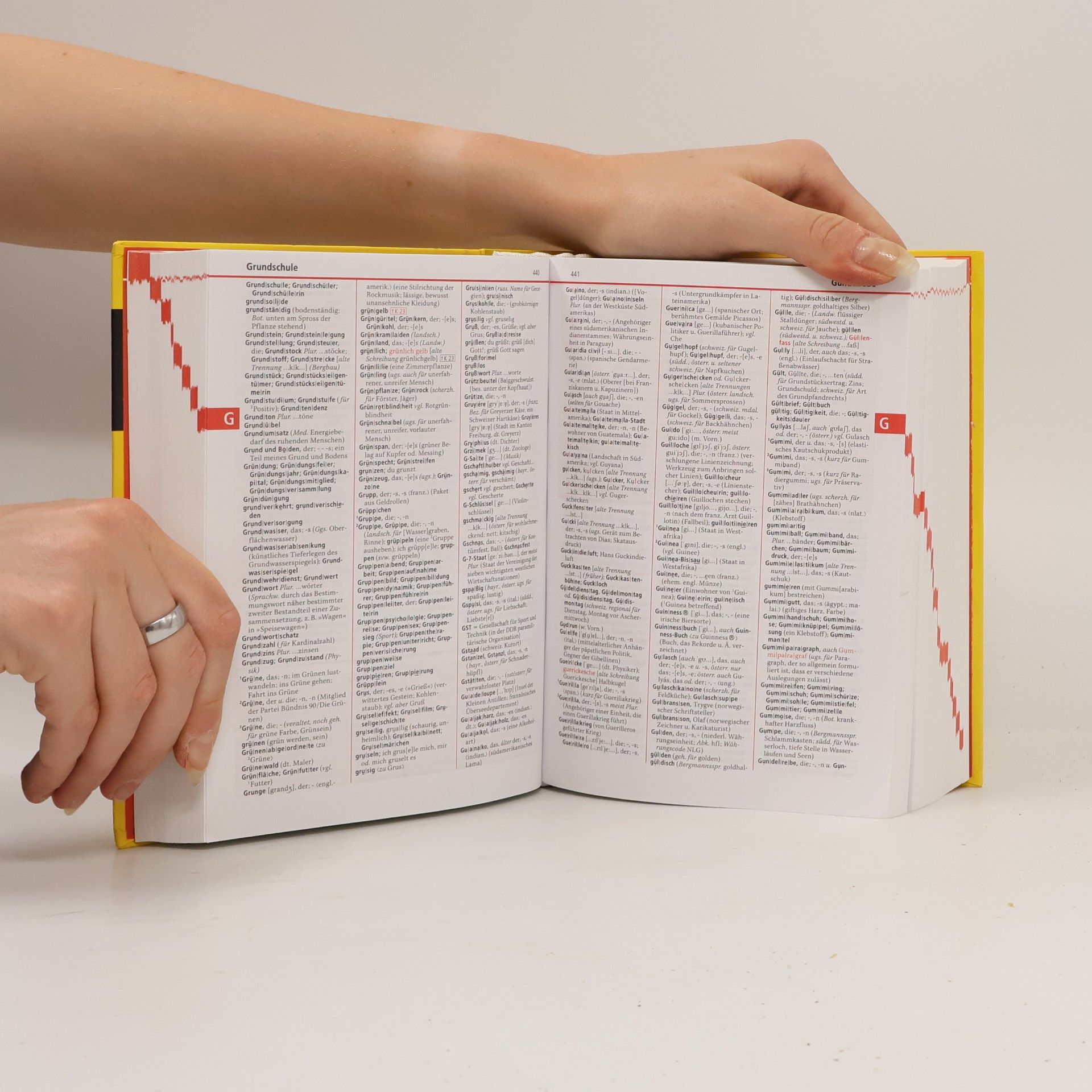 Various authors Duden : die deutsche Rechtschreibung