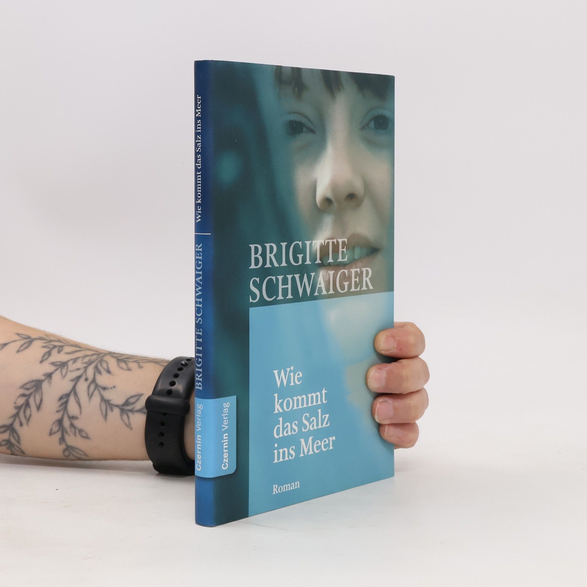 Brigitte Schwaiger Wie kommt das Salz ins Meer