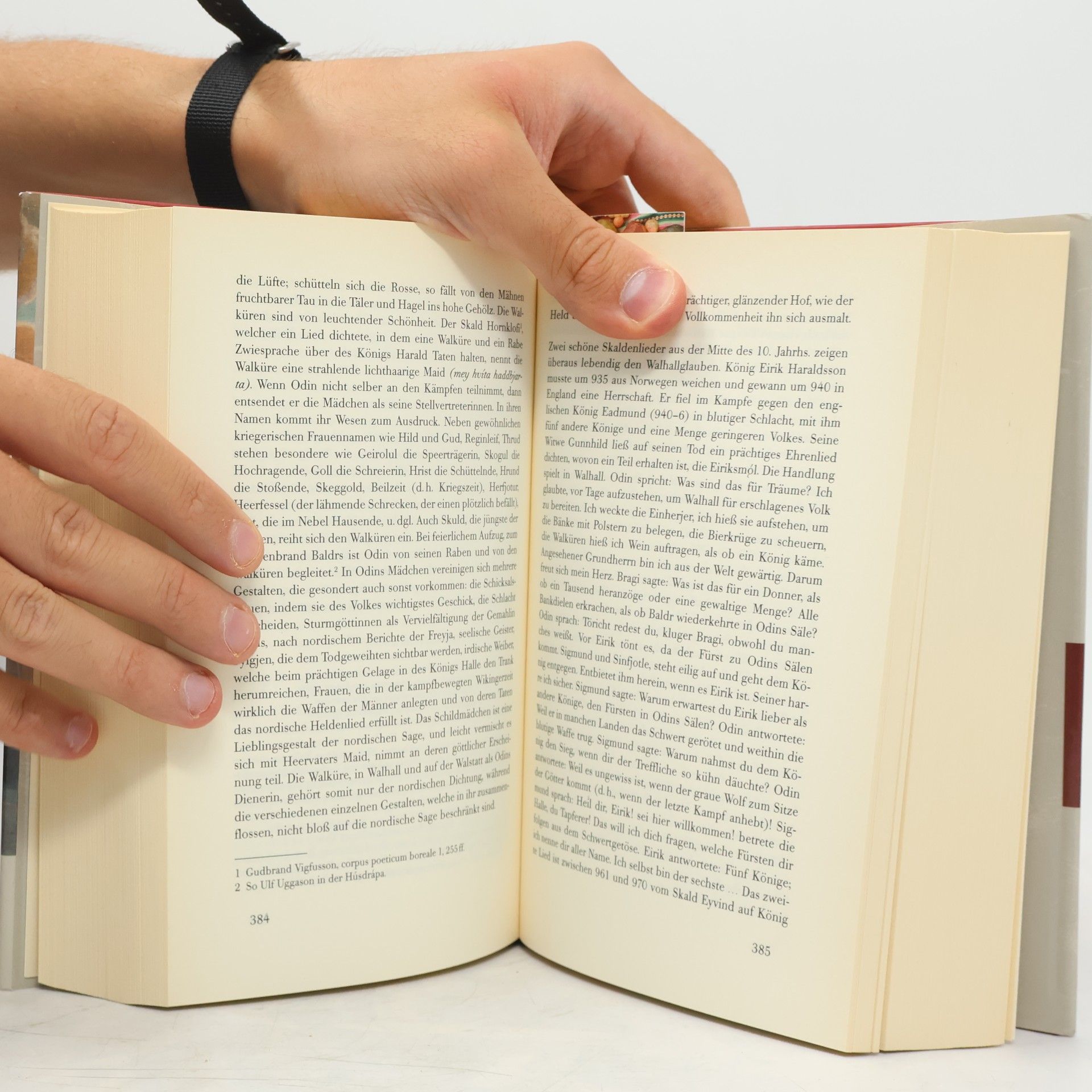 Wolfgang Golther Handbuch der germanischen Mythologie