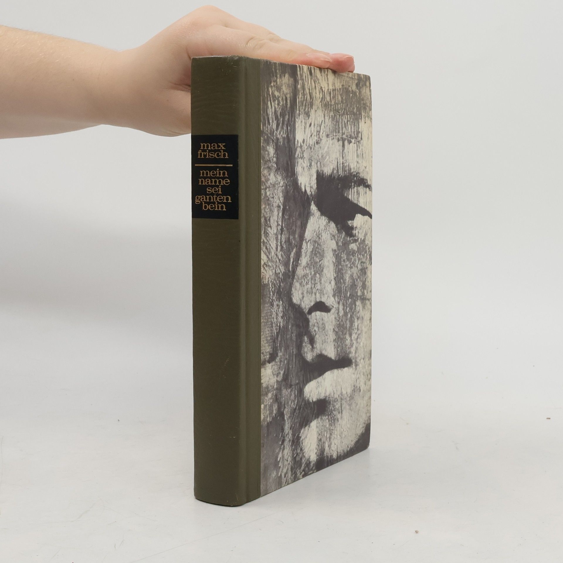 Max Frisch Mein Name sei Gantenbein