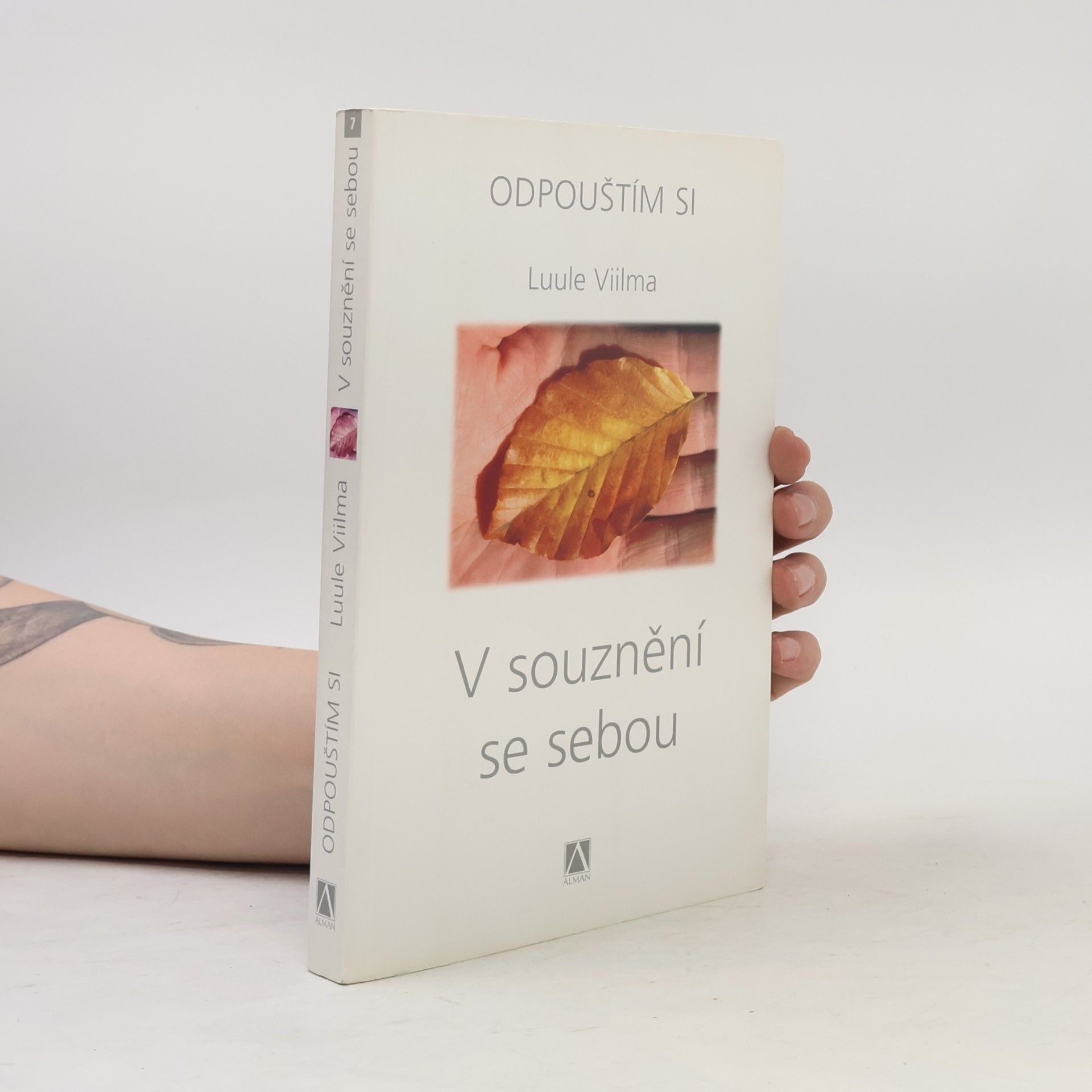 Luule Viilma Odpouštím si. V souznění se sebou