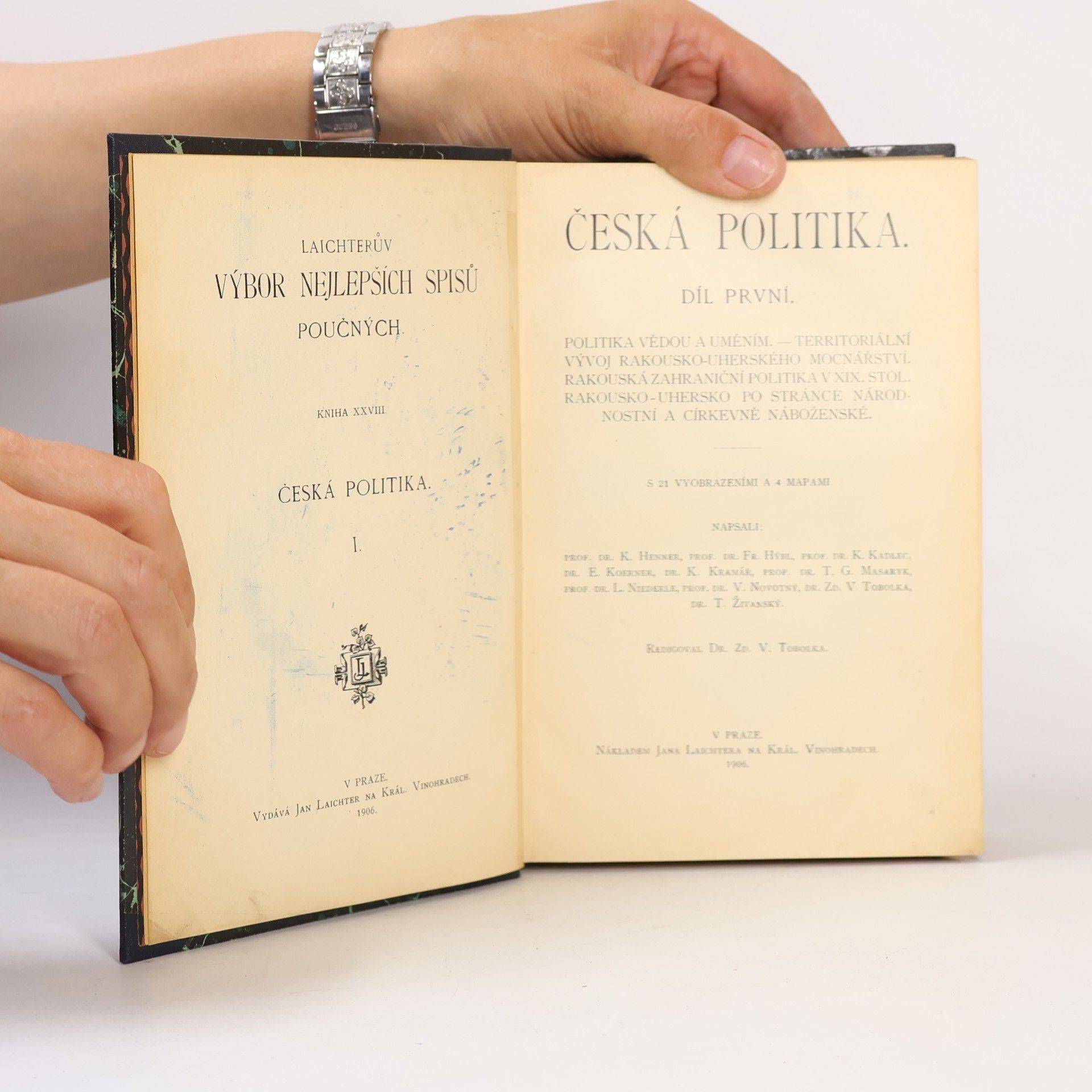 Autorenkollektiv Česká politika. Díl I
