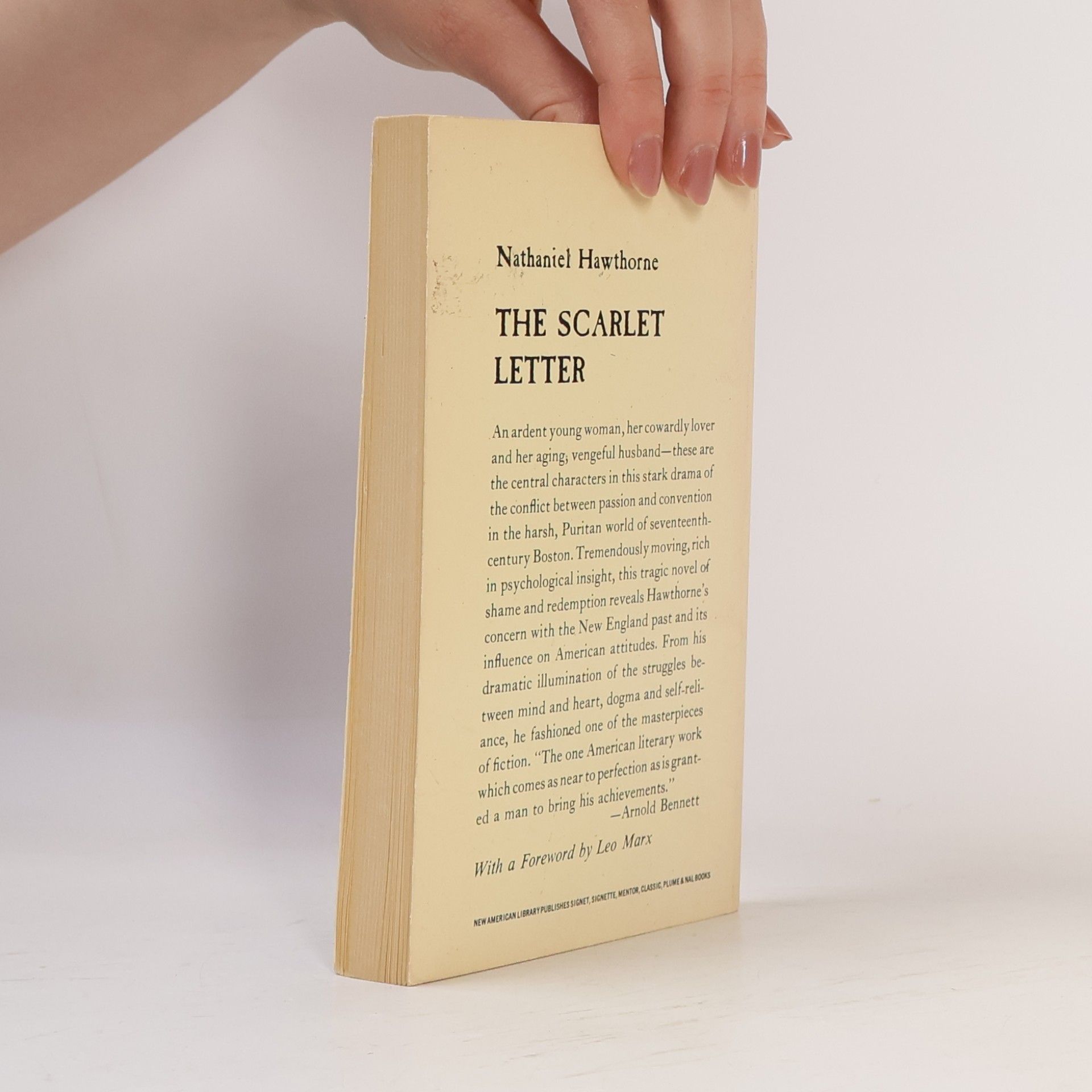 Nathaniel Hawthorne The Scarlet Letter