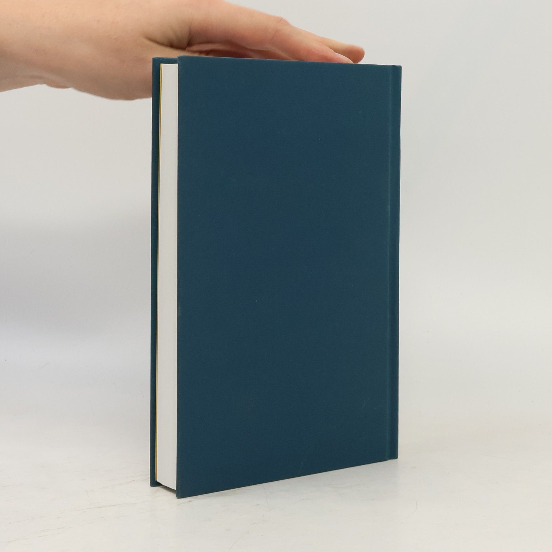 Alain de Botton Kleine Freuden - Großes Glück.
