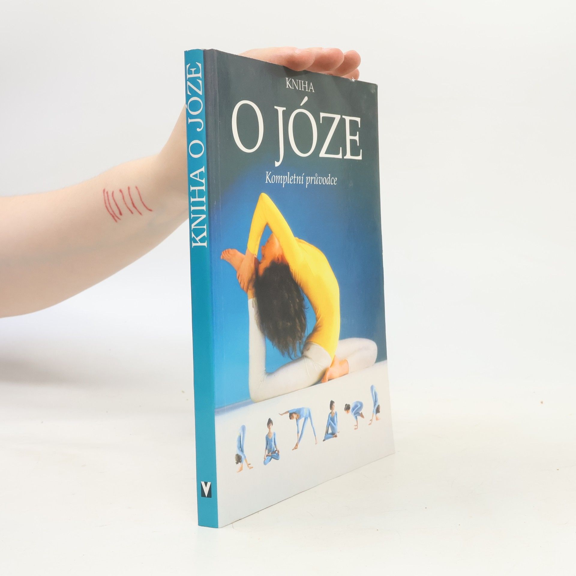 Giris Rabinovič Kniha o józe