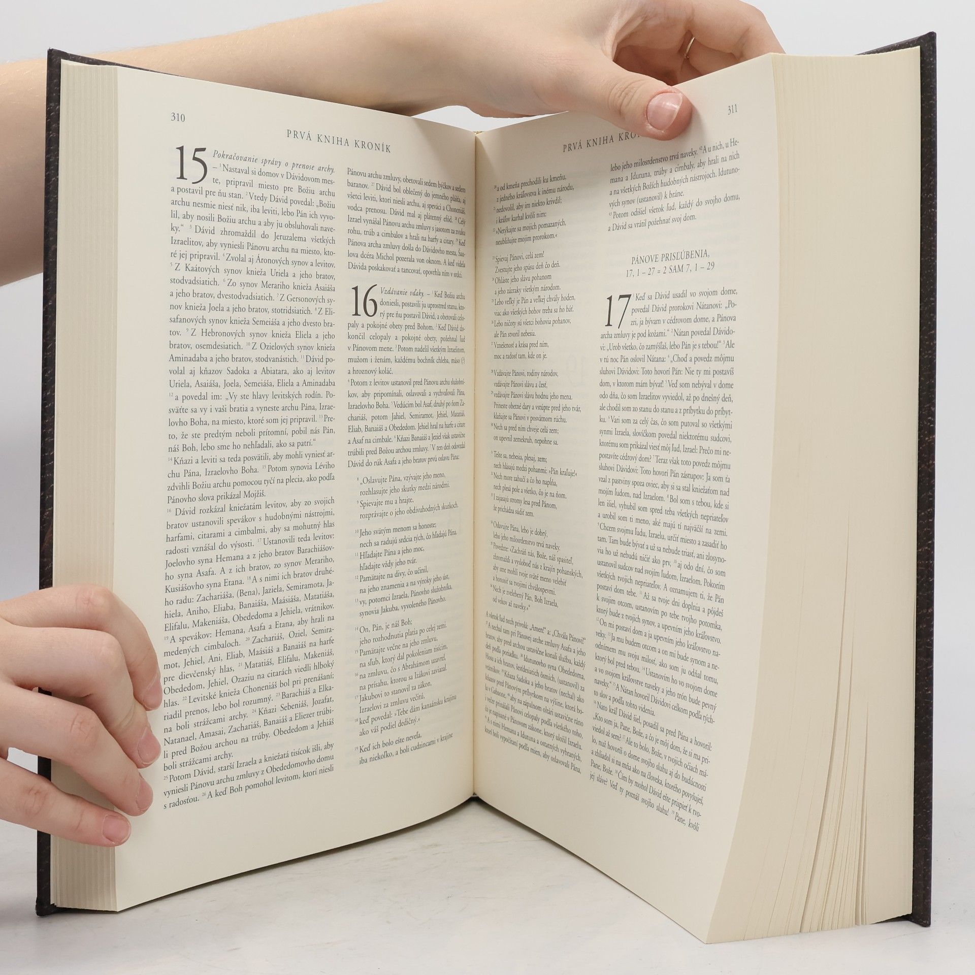 Autores varios Biblia