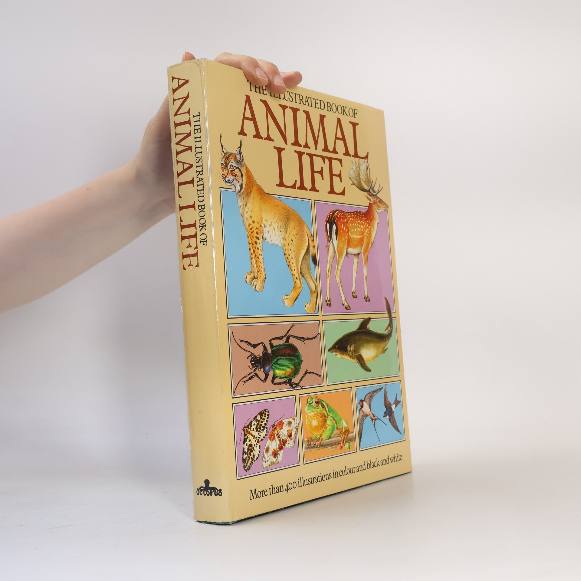 Jana Horáčková The Illustrated Book of Animal Life