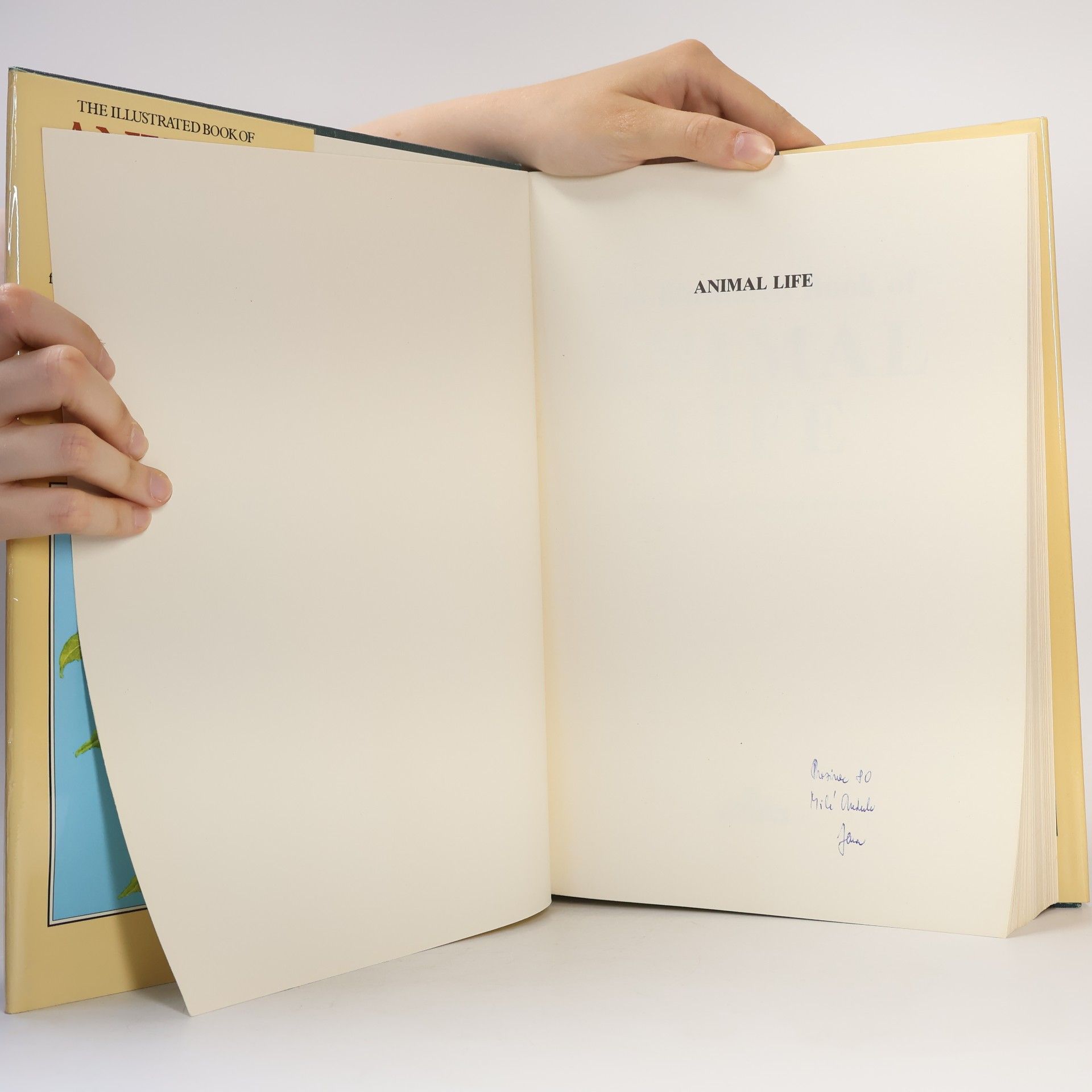 Jana Horáčková The Illustrated Book of Animal Life