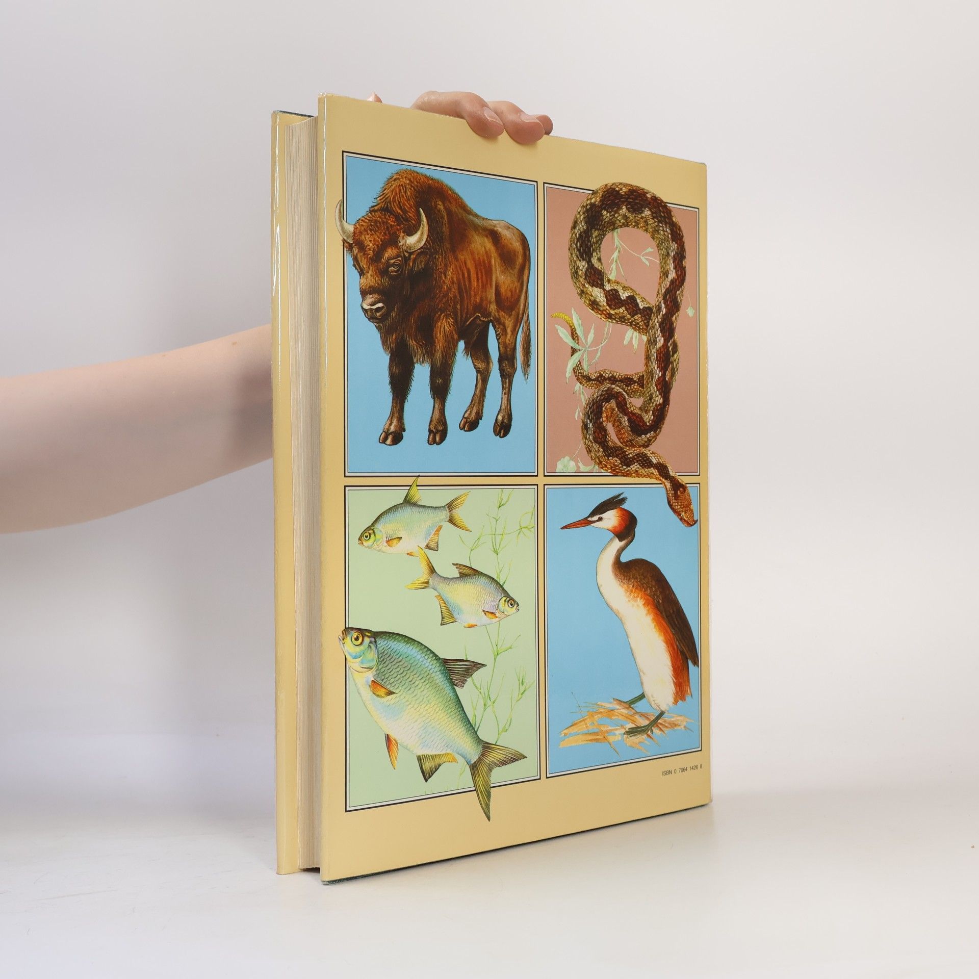 Jana Horáčková The Illustrated Book of Animal Life