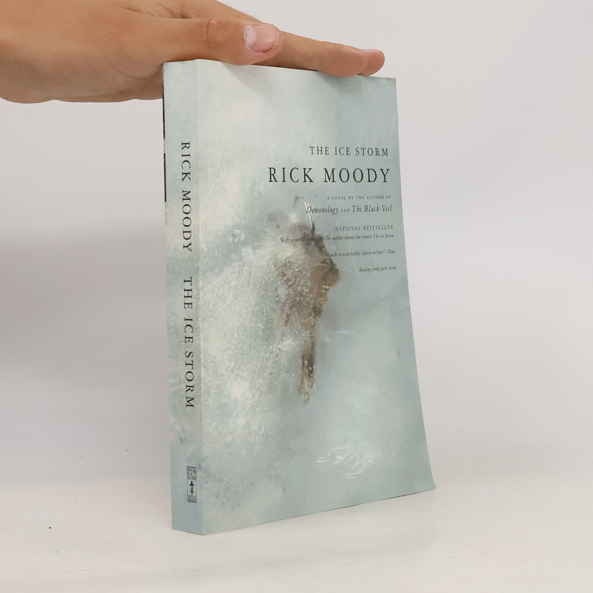 Rick Moody Back Bay Books: The Ice Storm