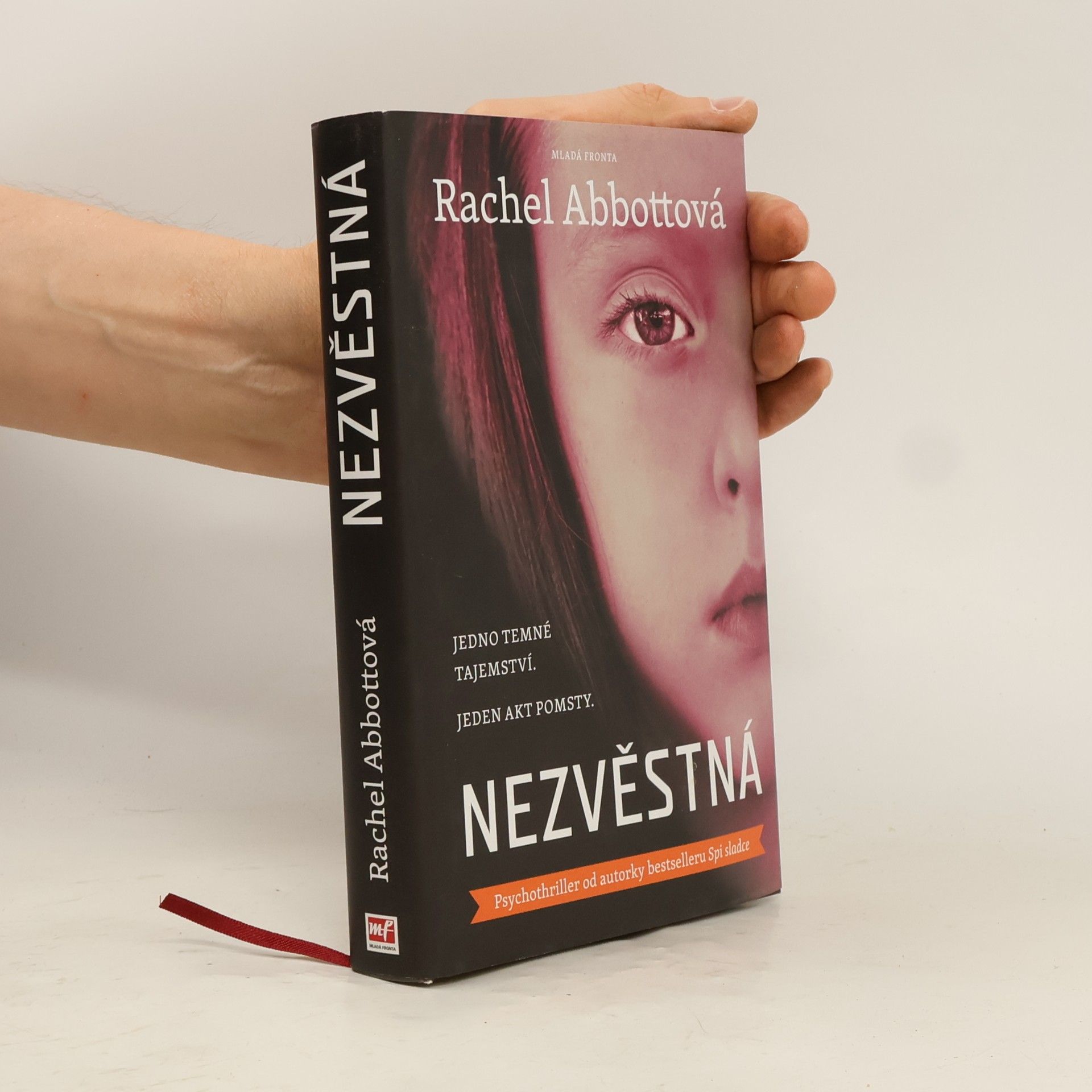 Rachel Abbott Nezvěstná