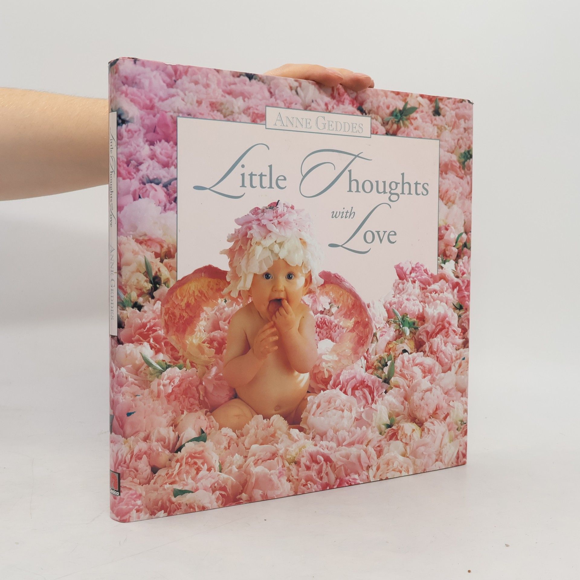 Anne Geddes Little Thoughts with Love