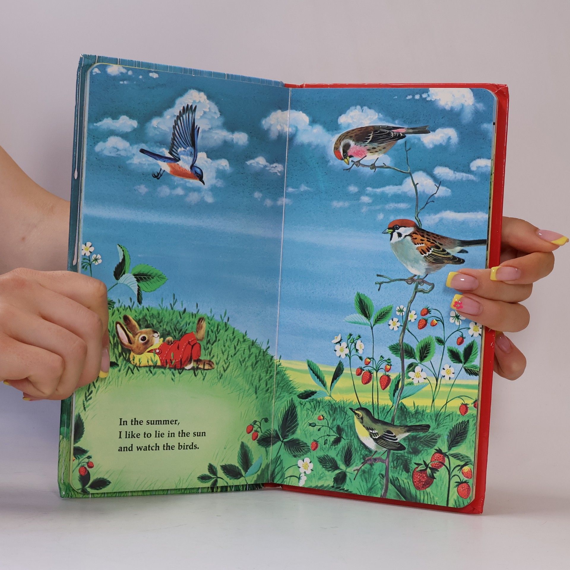 Richard Scarry I Am a Bunny