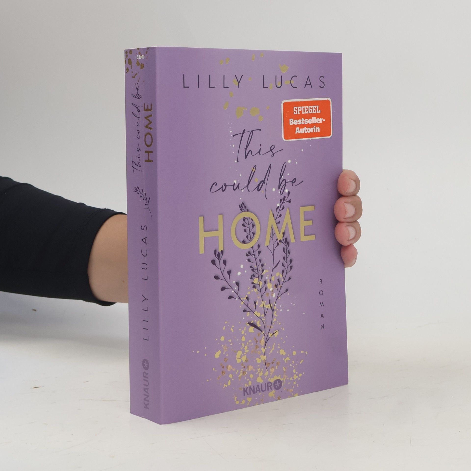 Lilly Lucas This could be home / Hawaii Love Bd.2